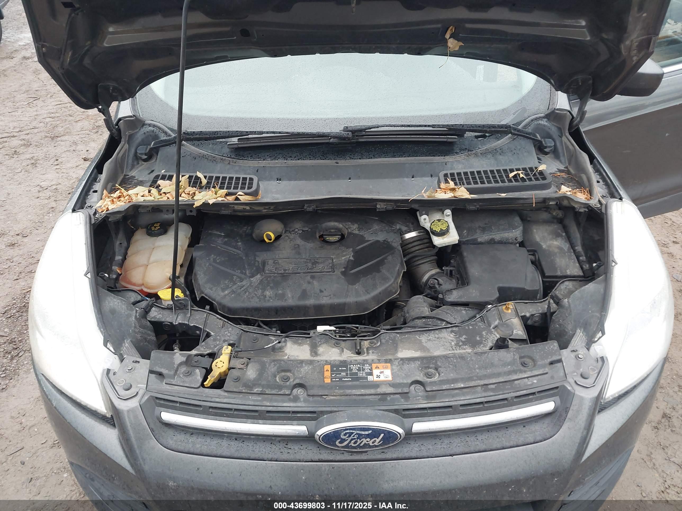 FORD ESCAPE image 10