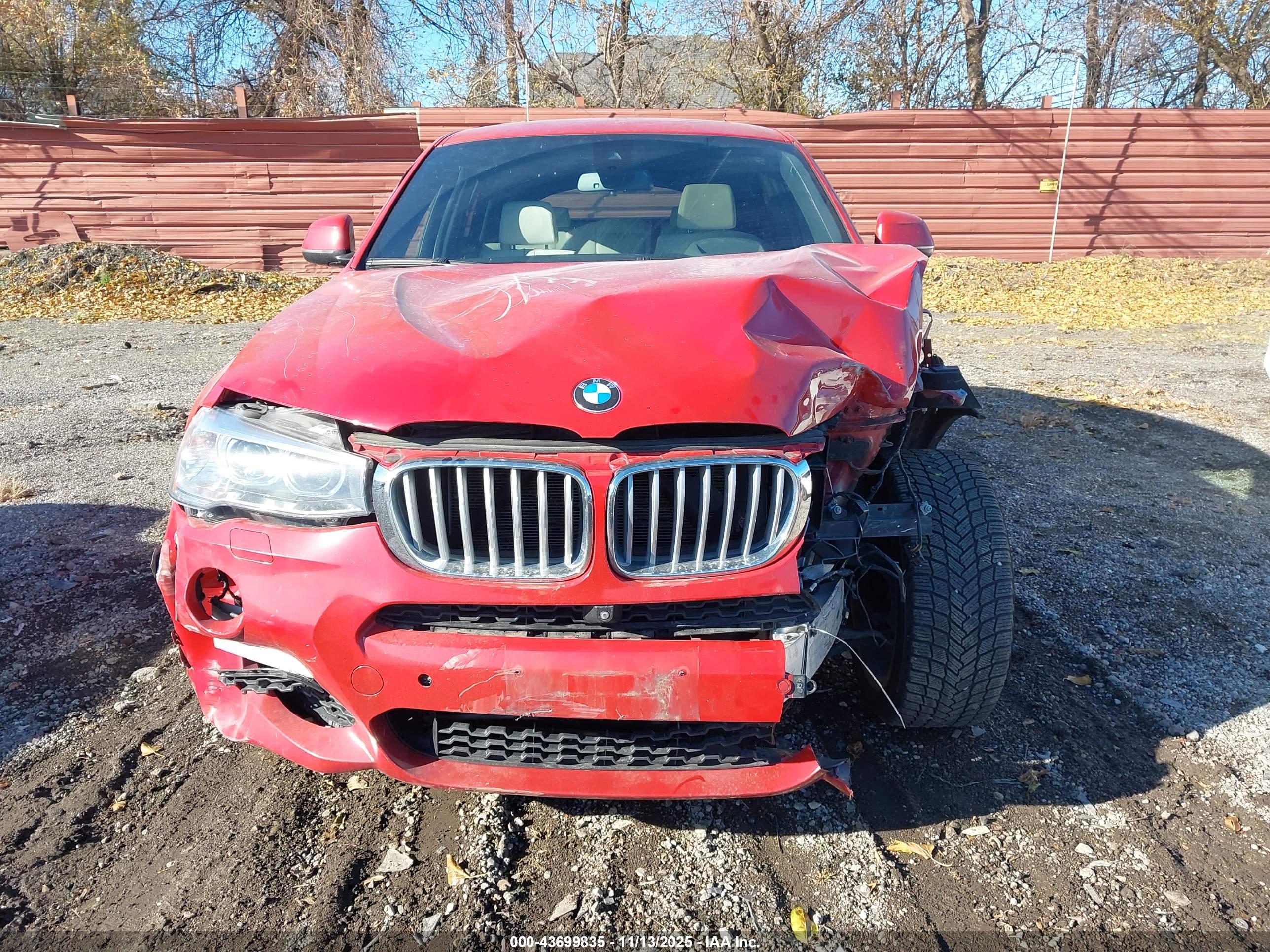 BMW X4 image 6