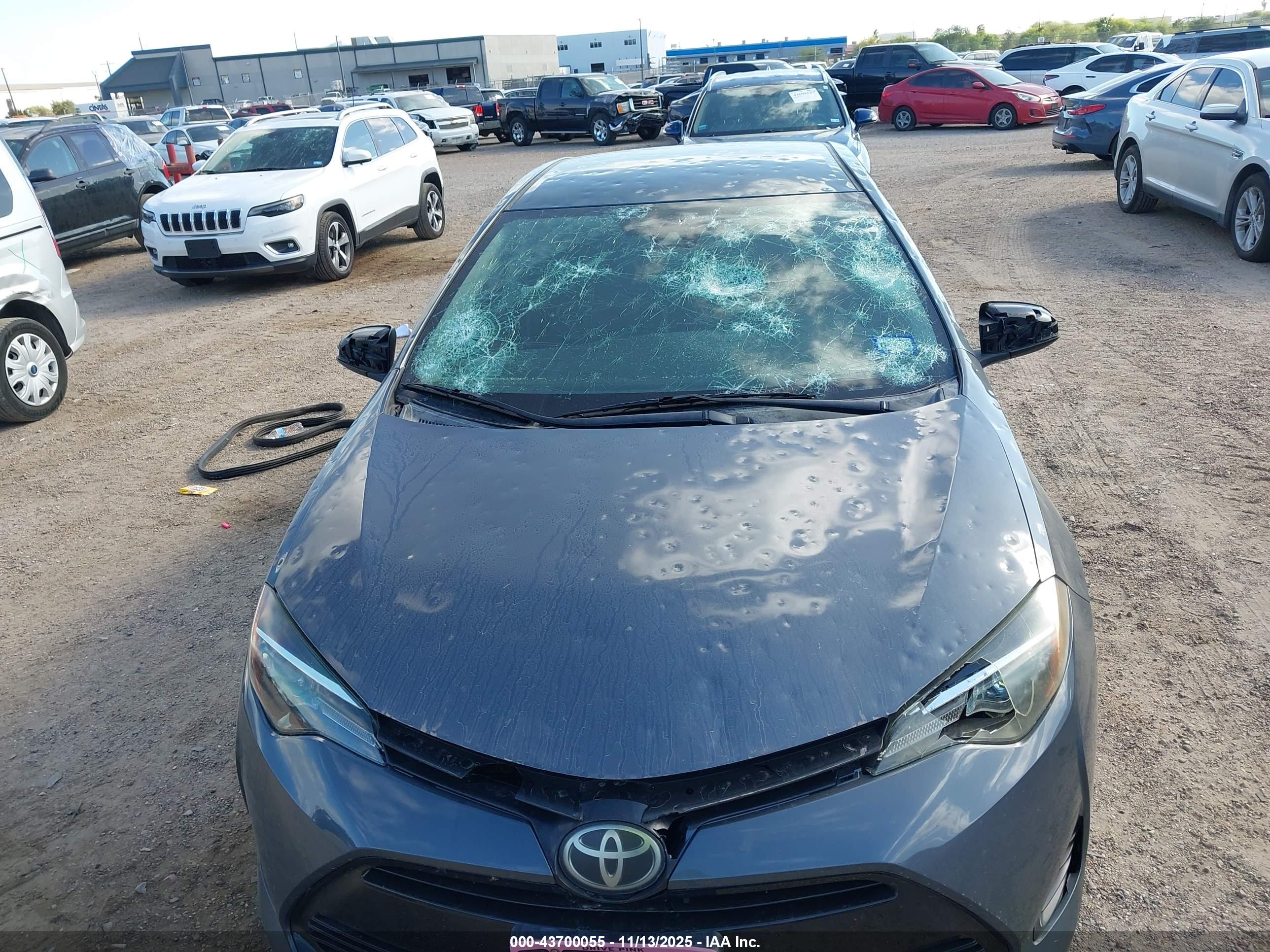 TOYOTA COROLLA image 6