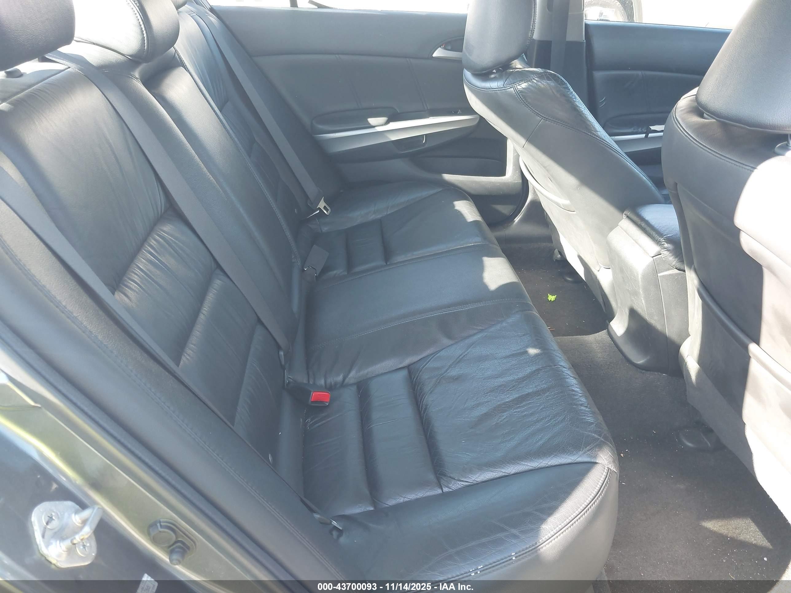 HONDA ACCORD image 8