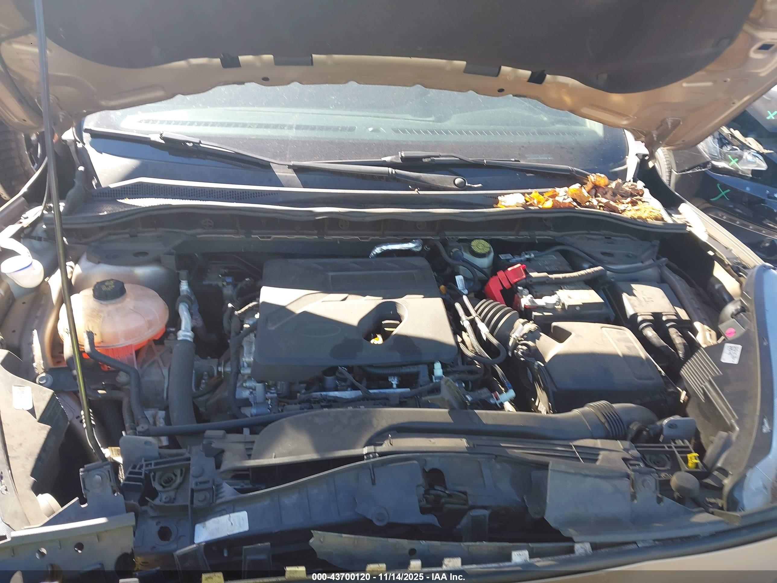 FORD ESCAPE image 10