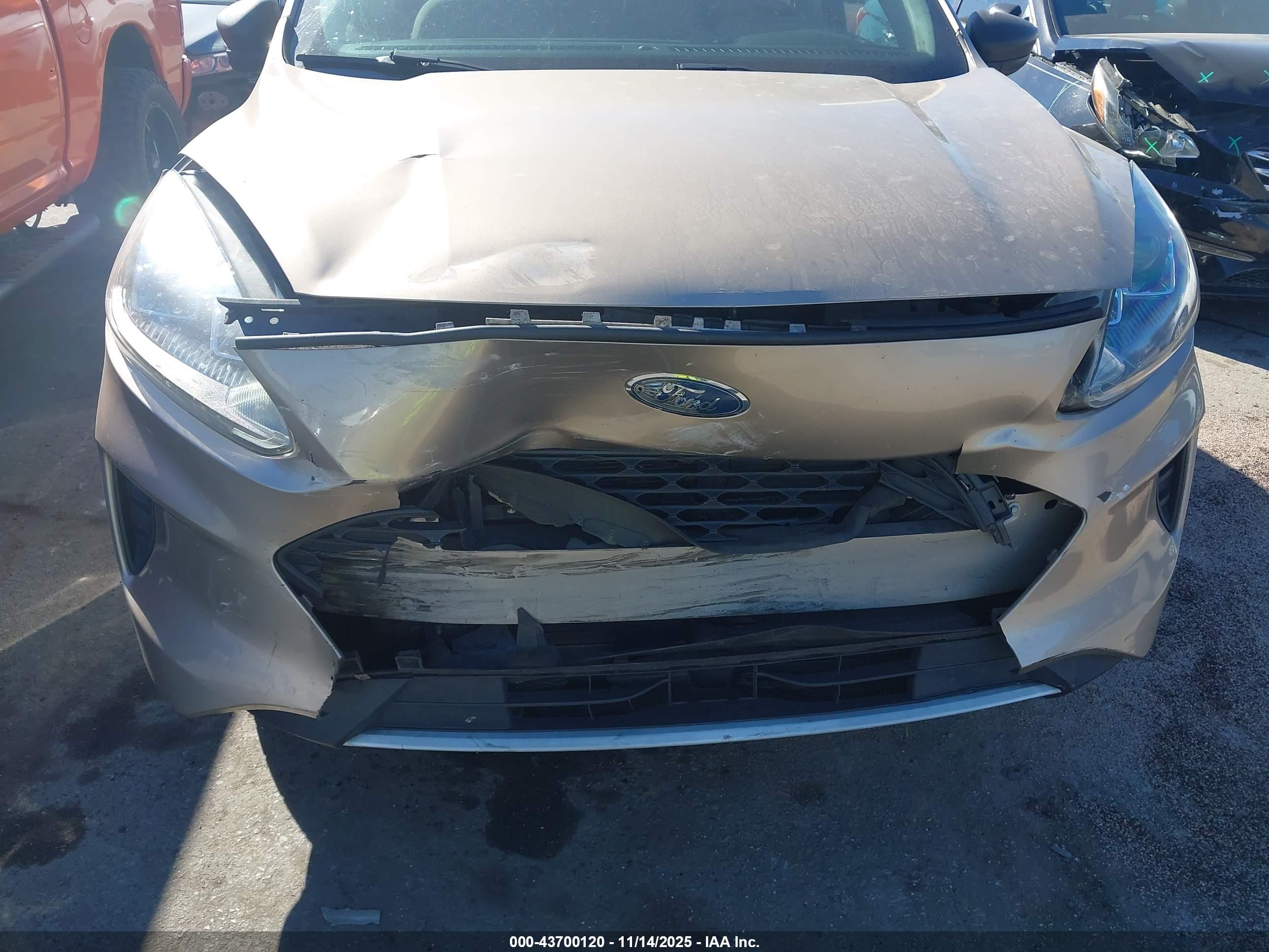 FORD ESCAPE image 6