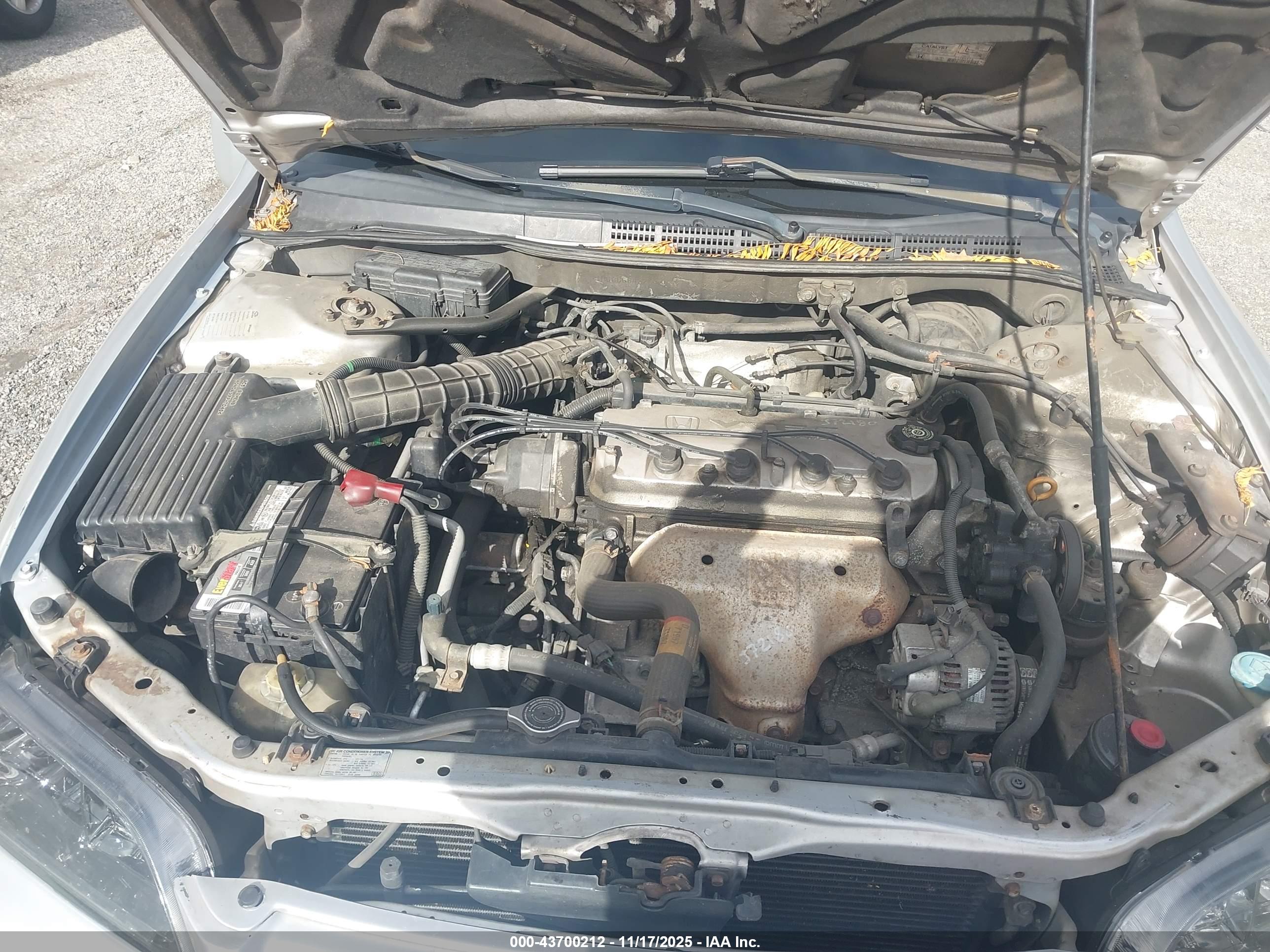HONDA ACCORD image 10