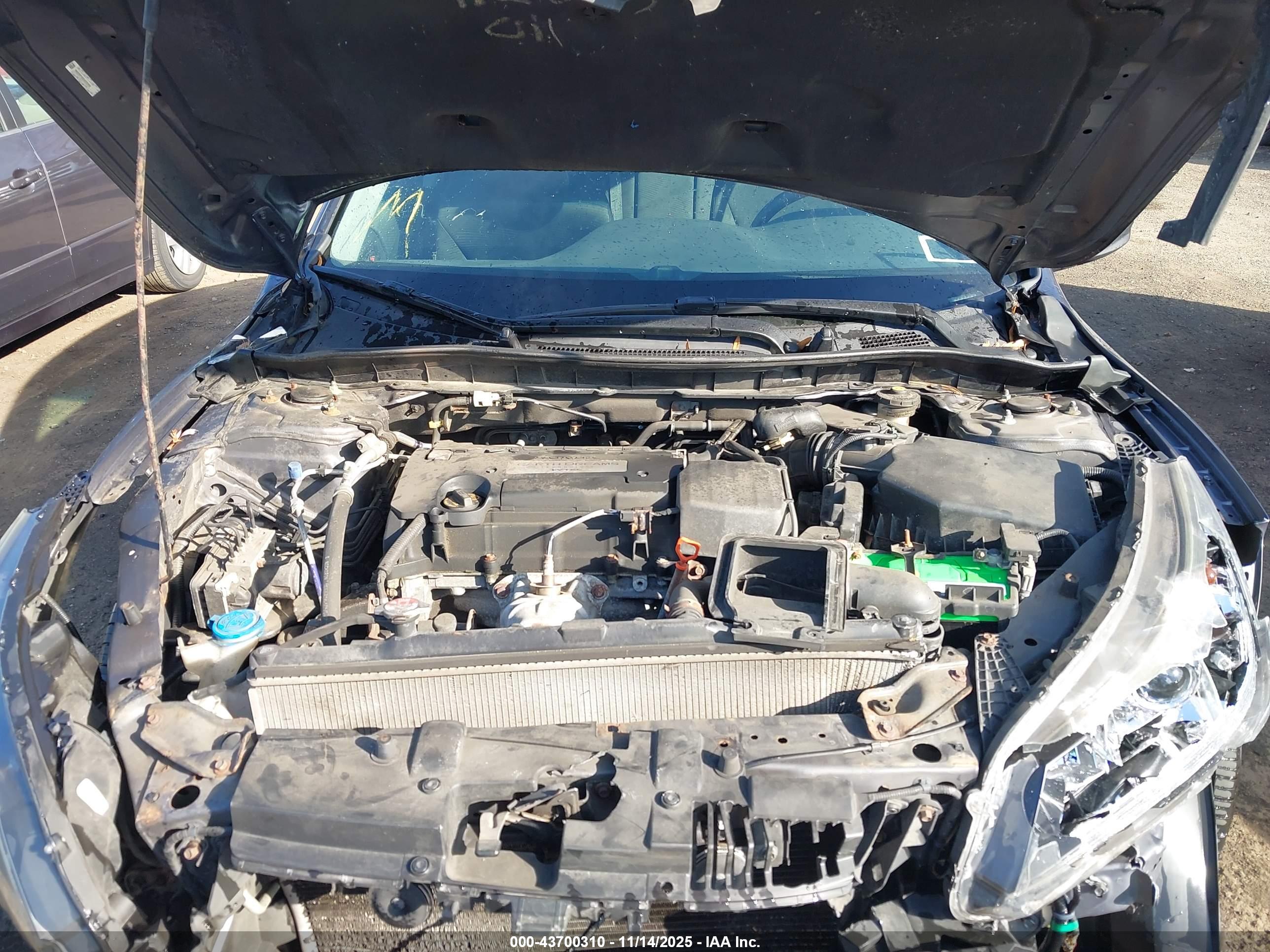 HONDA ACCORD image 10