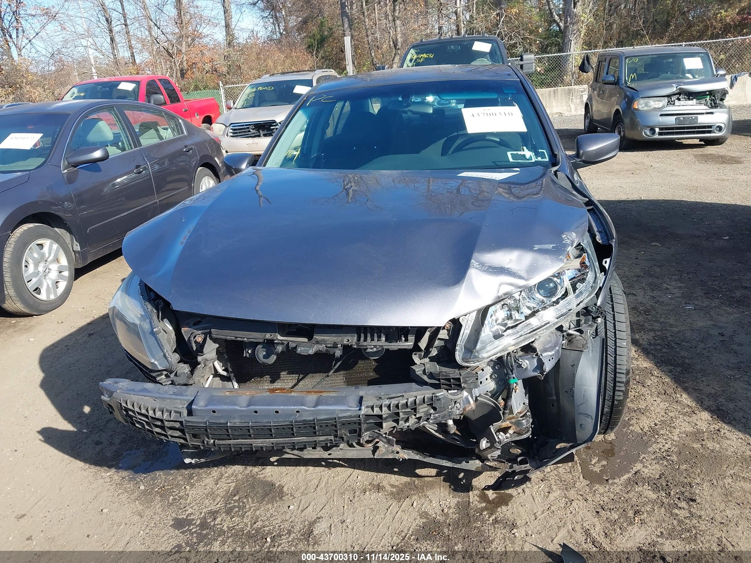 HONDA ACCORD image 6