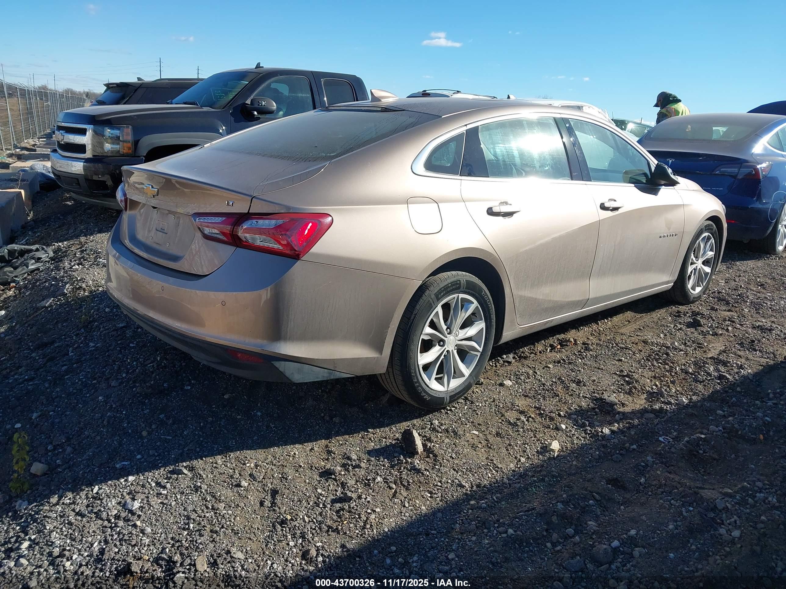 CHEVROLET MALIBU image 4