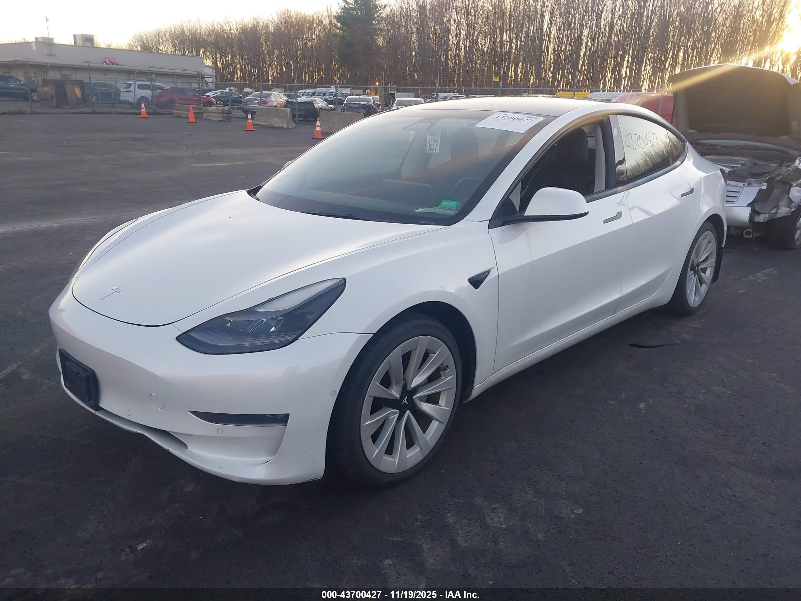 TESLA MODEL image 2