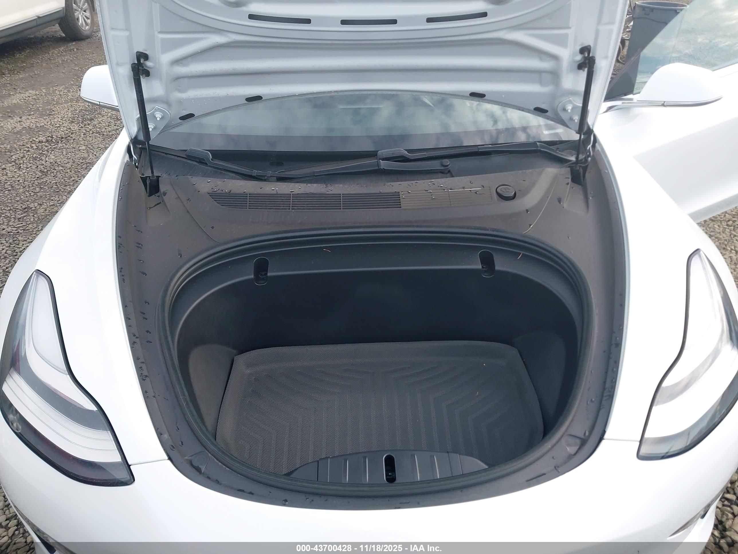 TESLA MODEL image 10