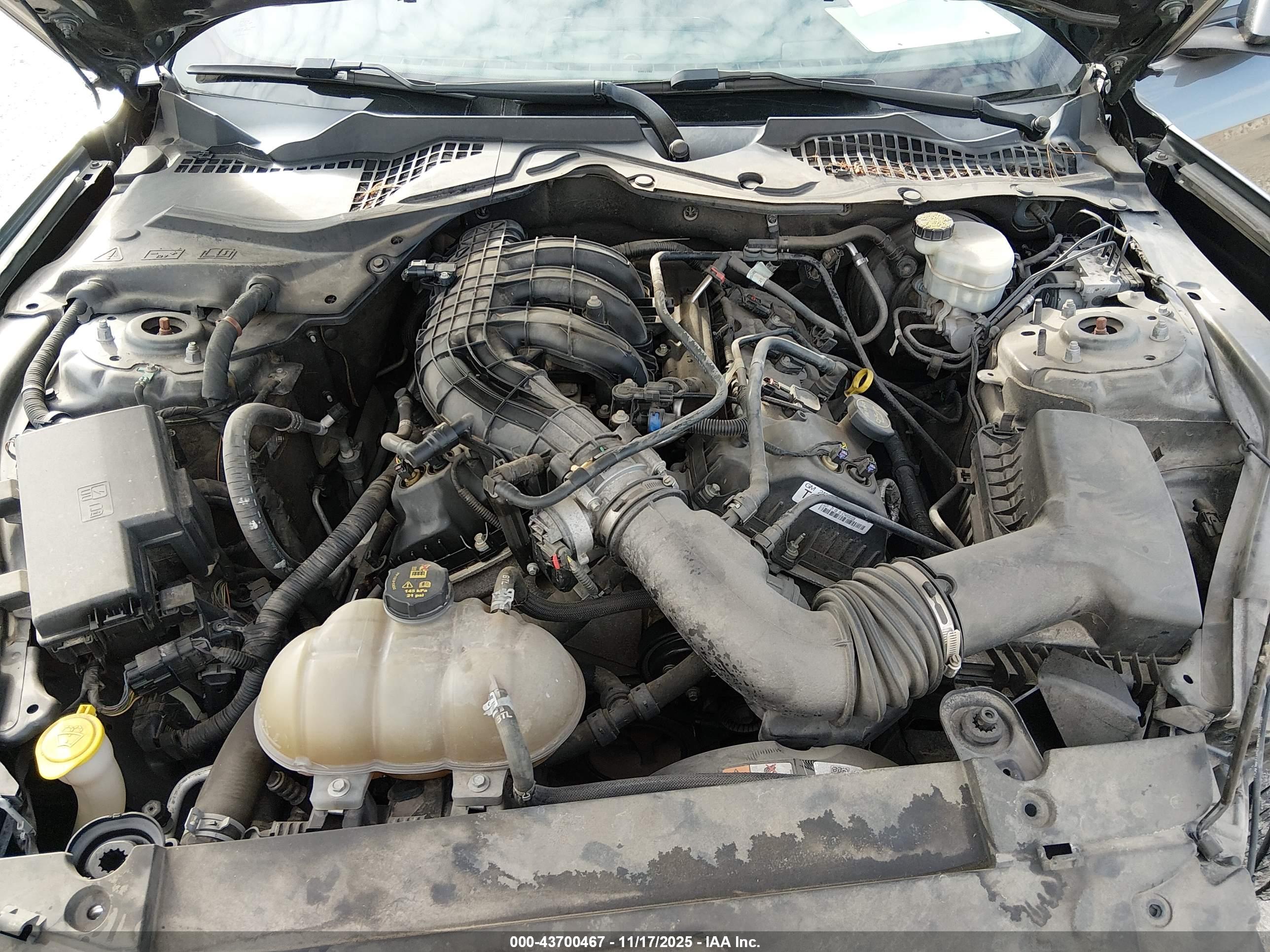 FORD MUSTANG image 10