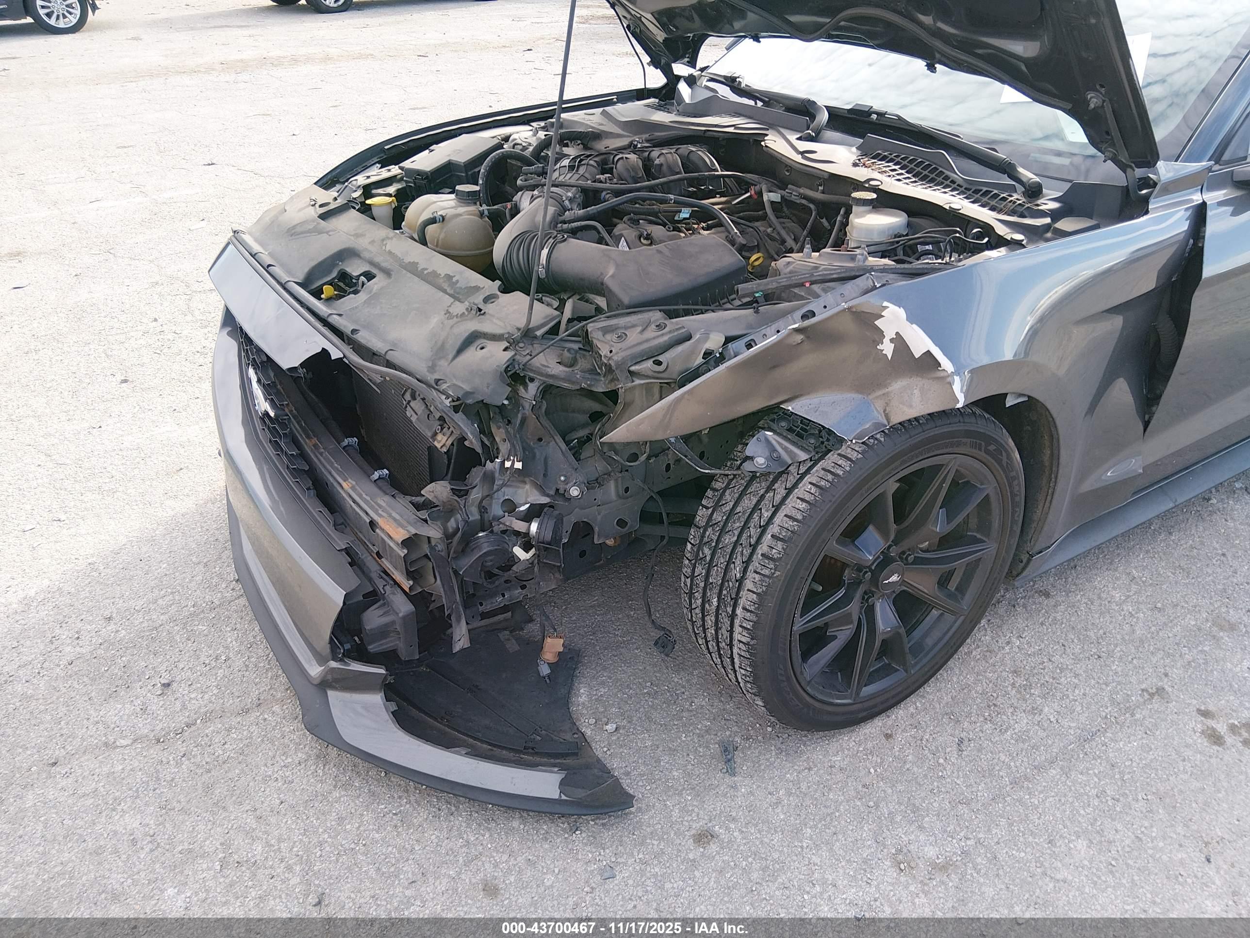 FORD MUSTANG image 6
