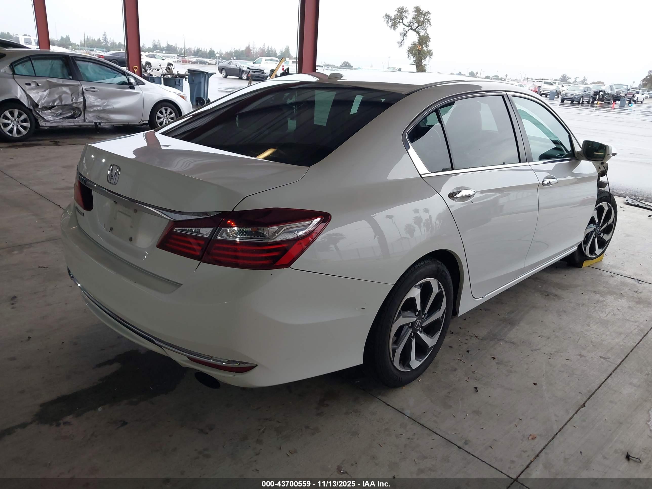 HONDA ACCORD image 4