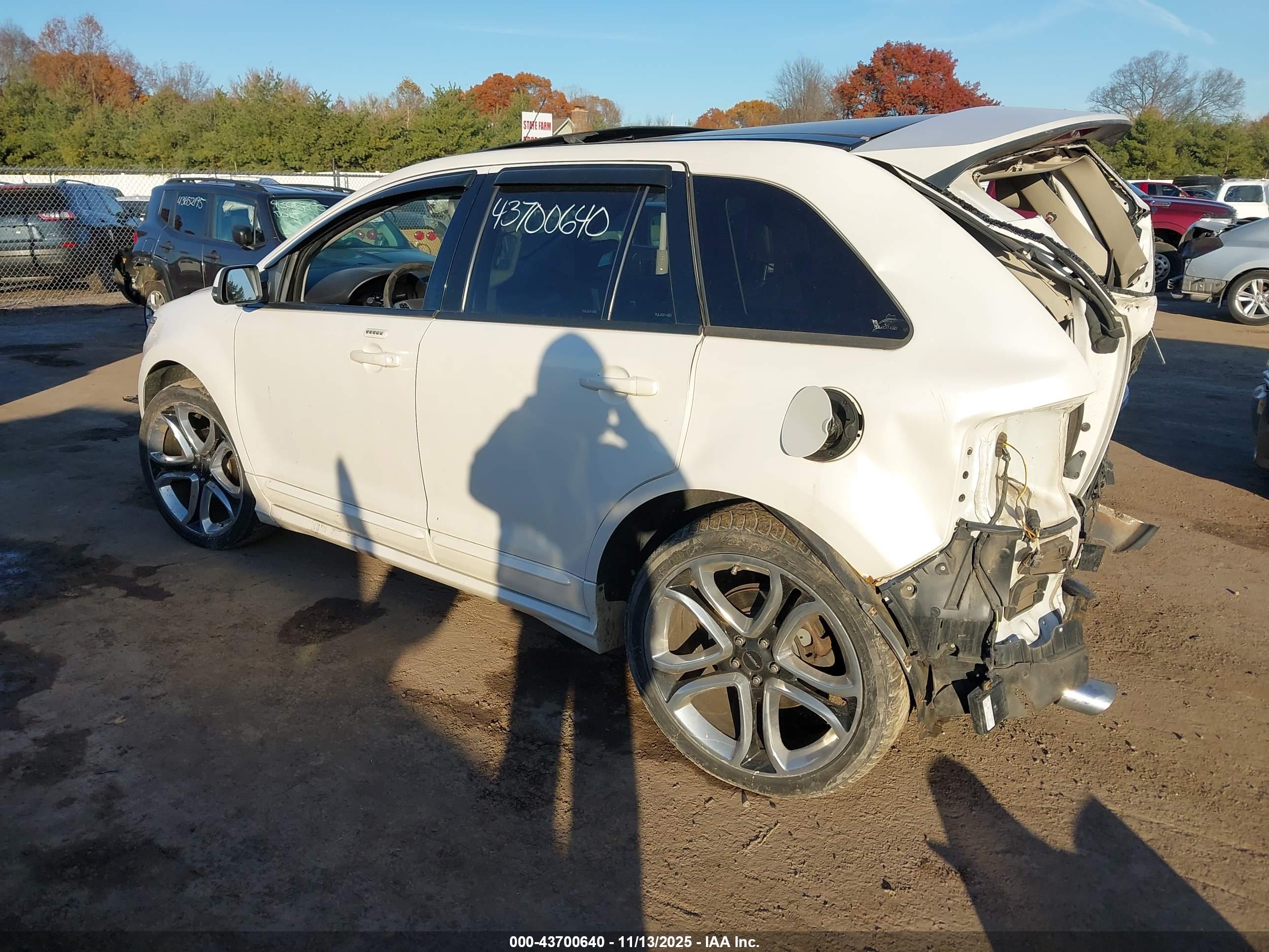 FORD EDGE image 3