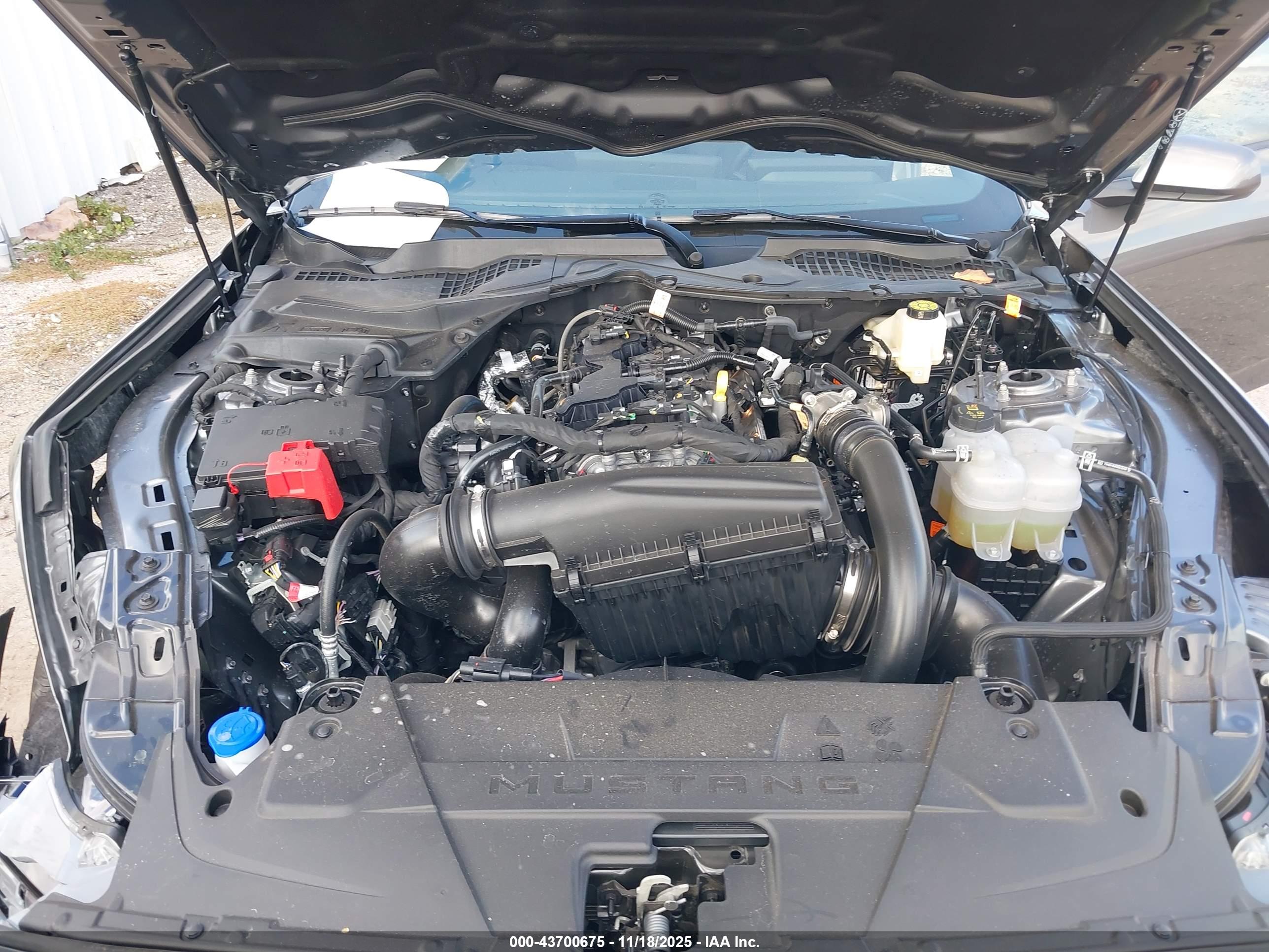 FORD MUSTANG image 10