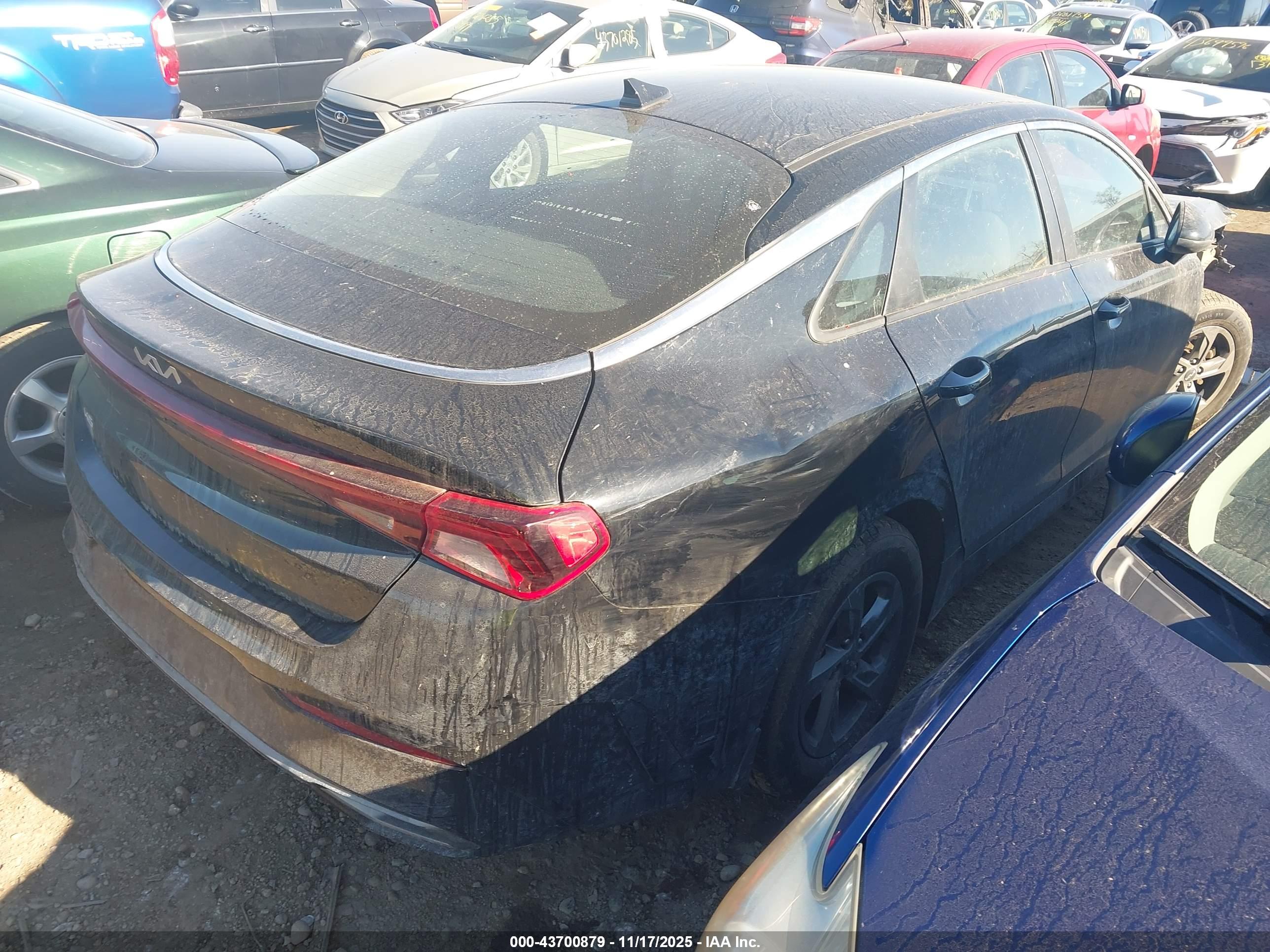 KIA K5 image 4