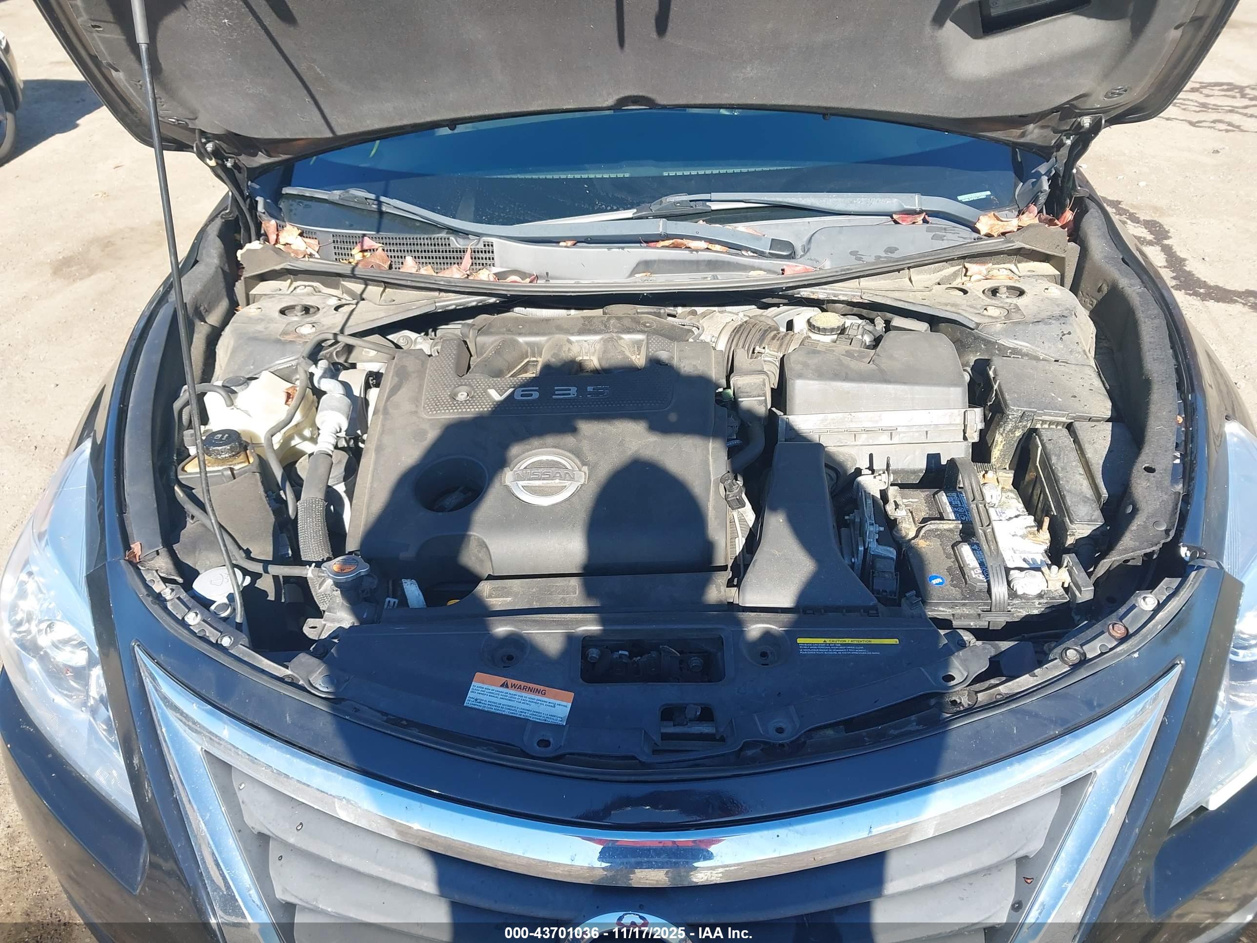 NISSAN ALTIMA image 10