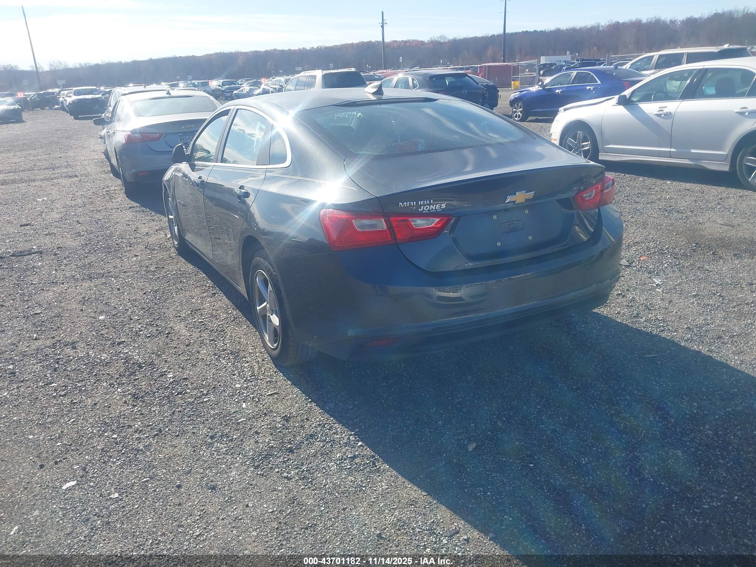 CHEVROLET MALIBU image 3