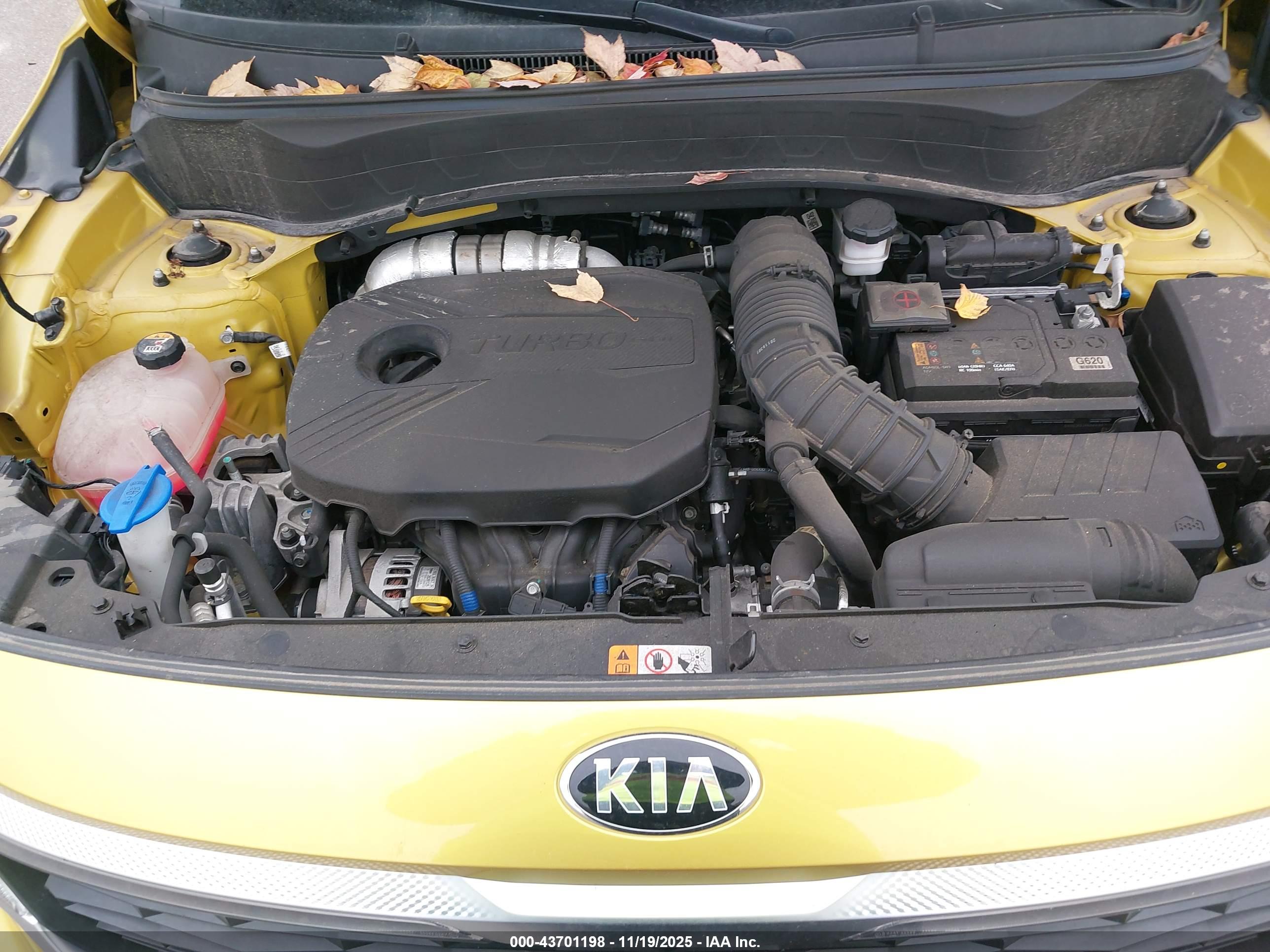 KIA SELTOS image 10