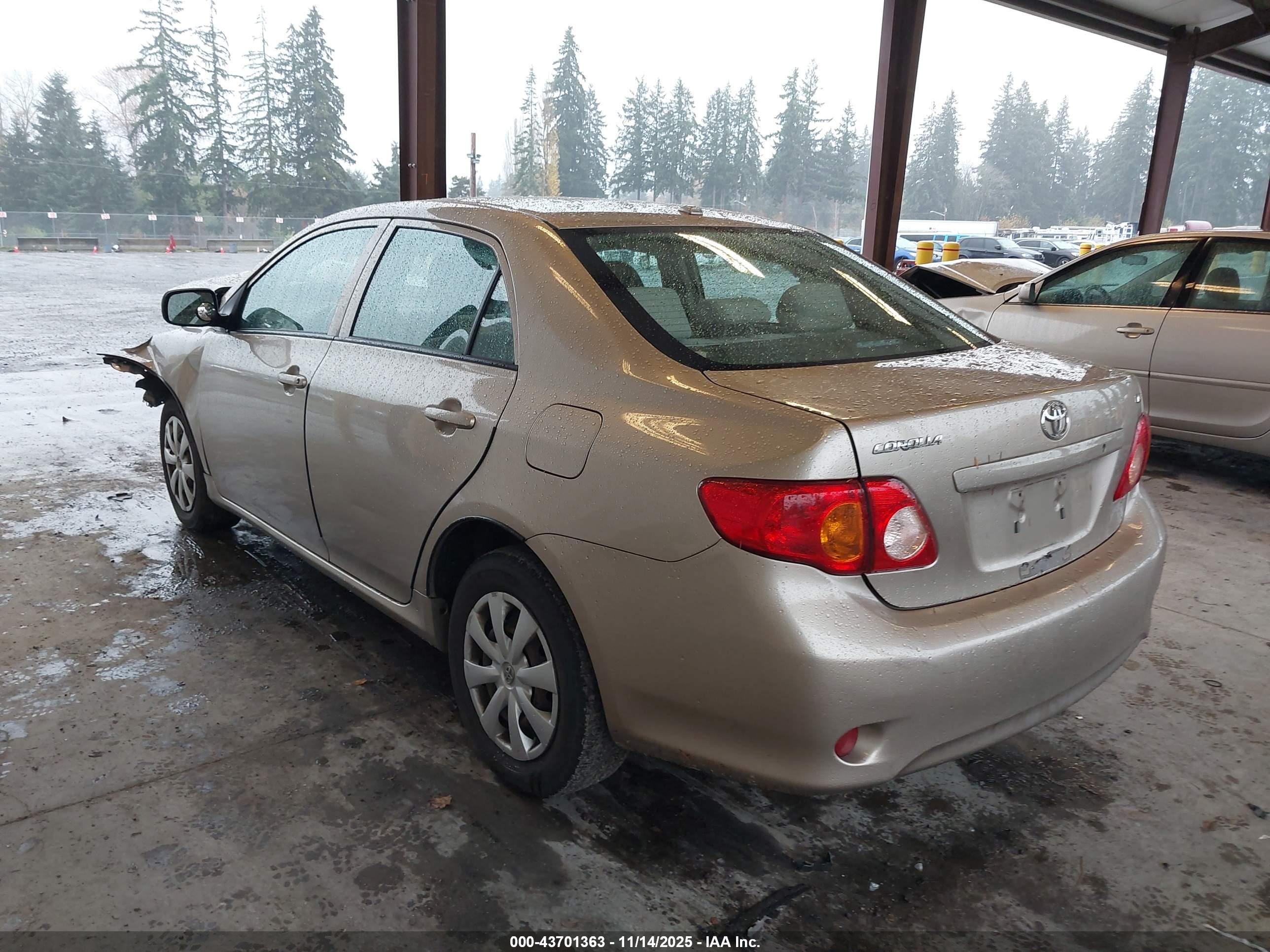 TOYOTA COROLLA image 3