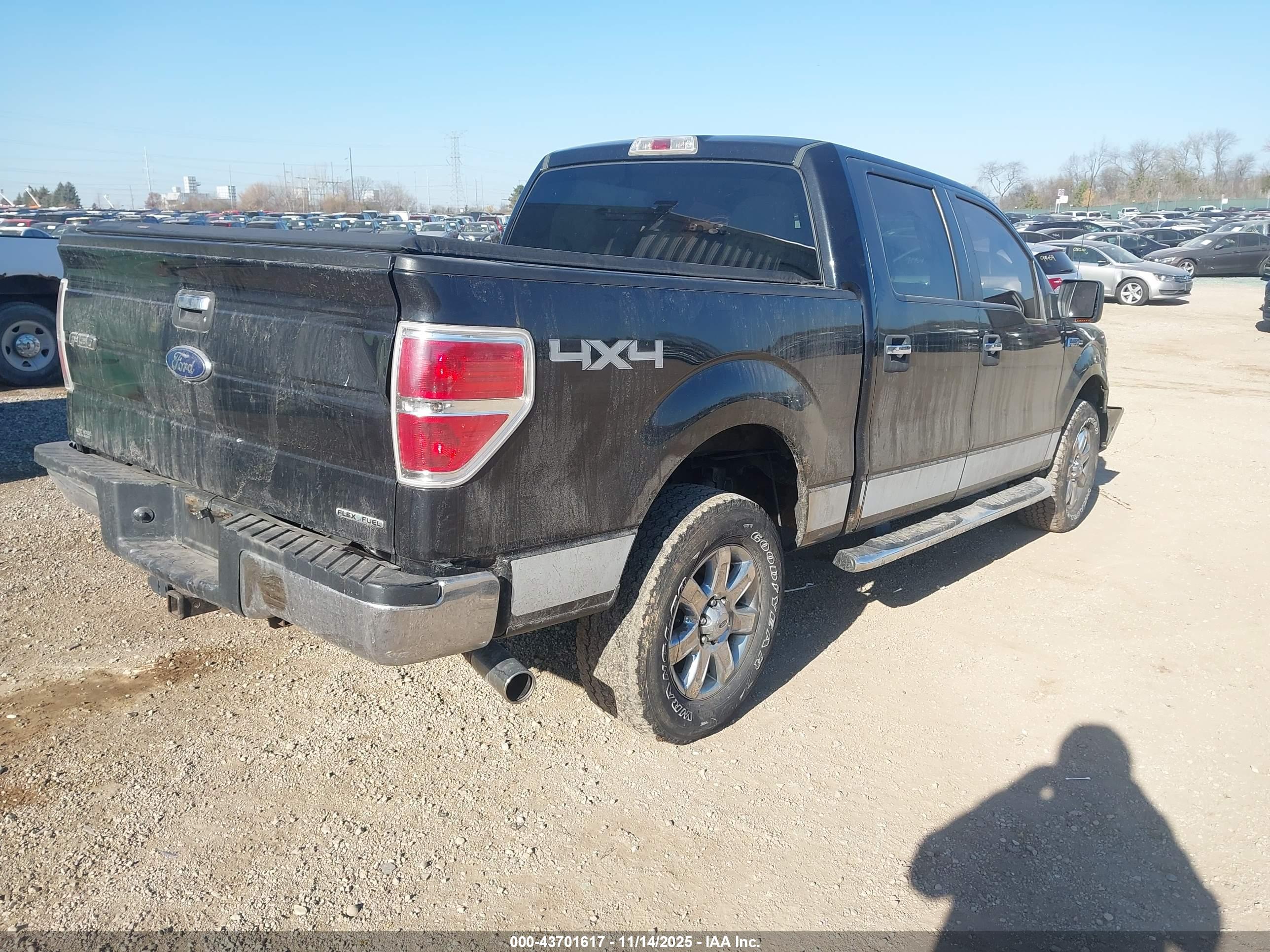 FORD F-150 image 4