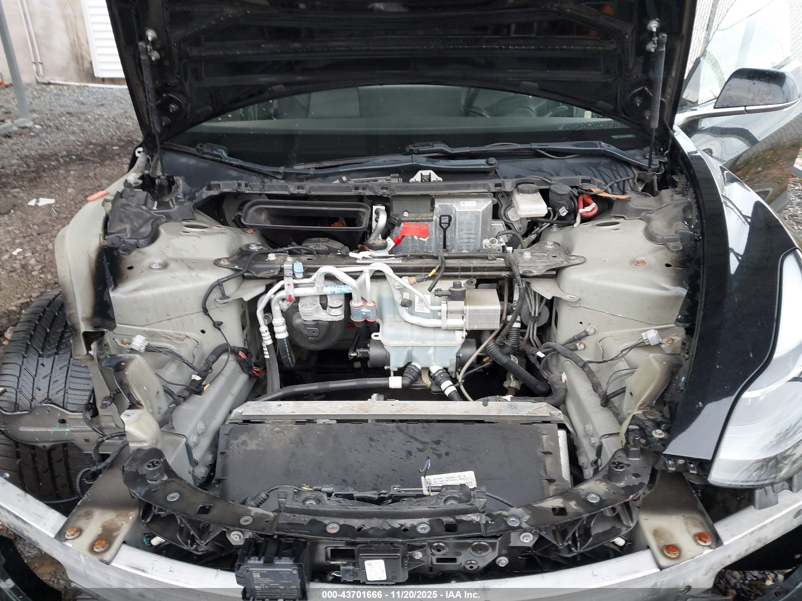 TESLA MODEL image 10