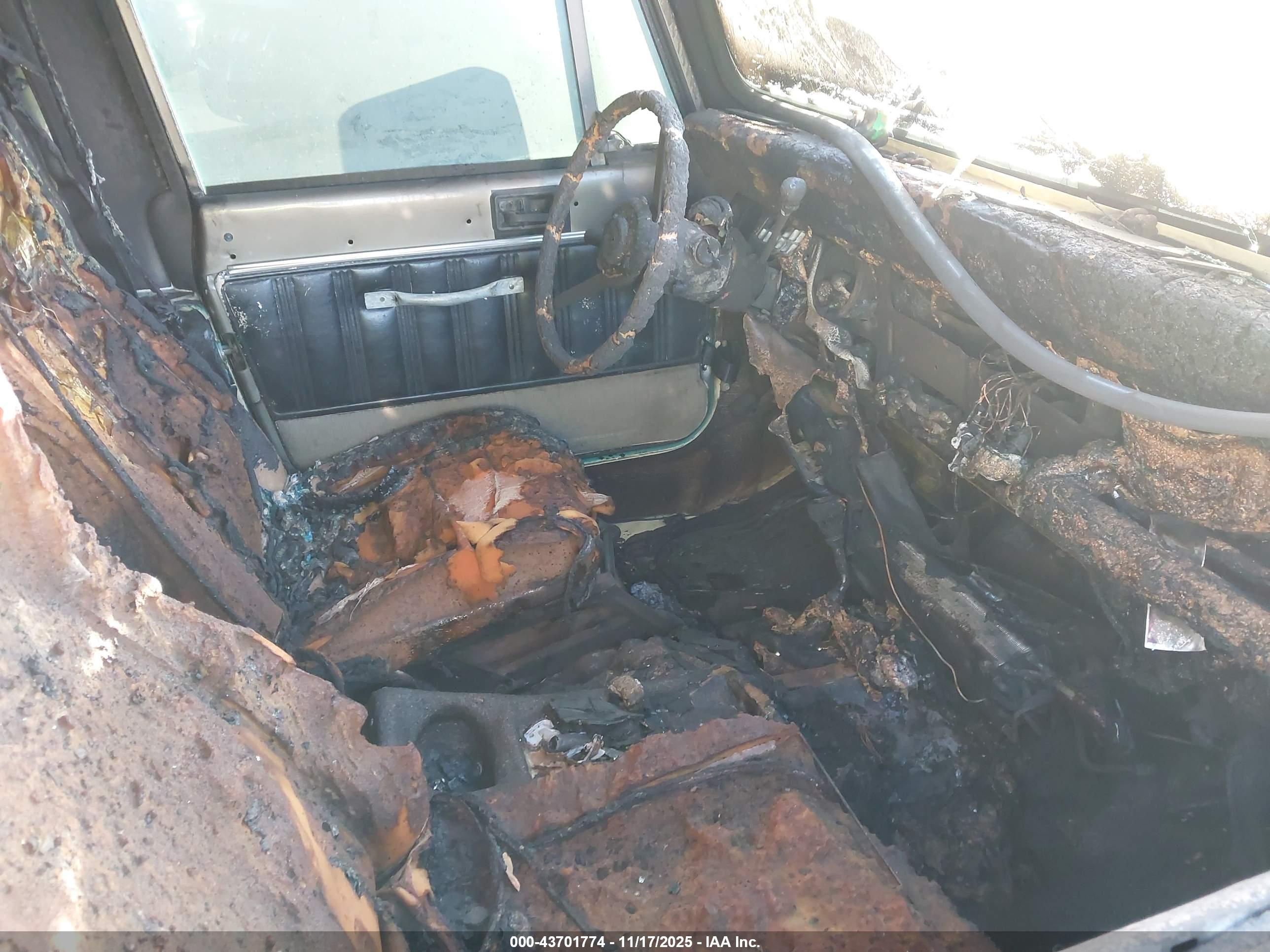 JEEP WRANGLER image 5
