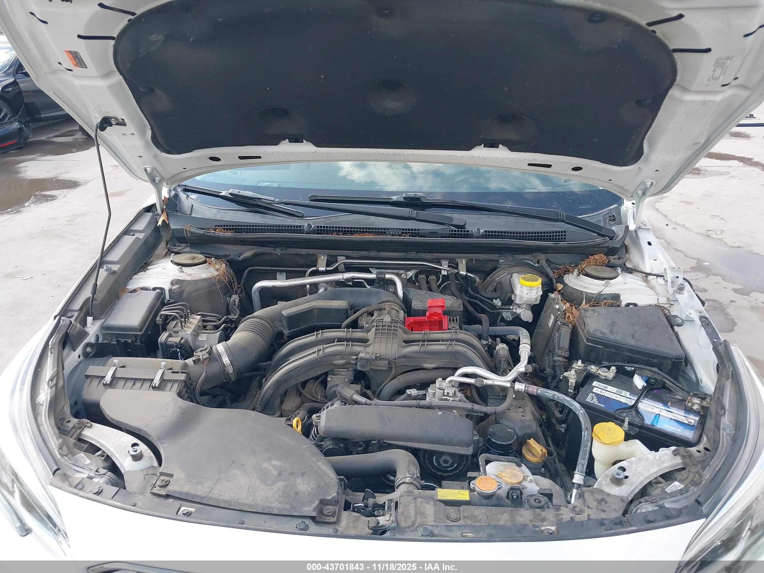 SUBARU OUTBACK image 10