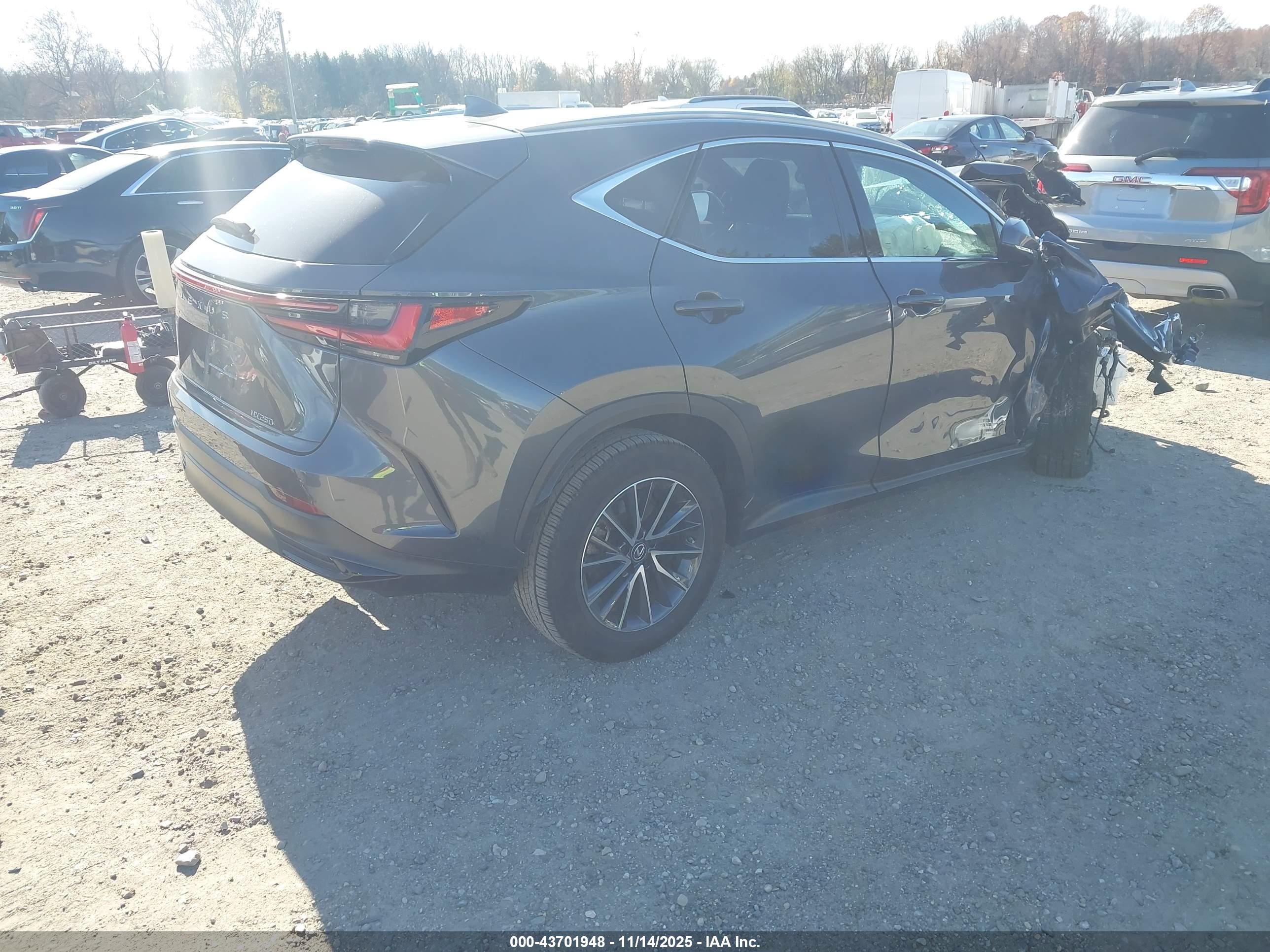 LEXUS NX image 4