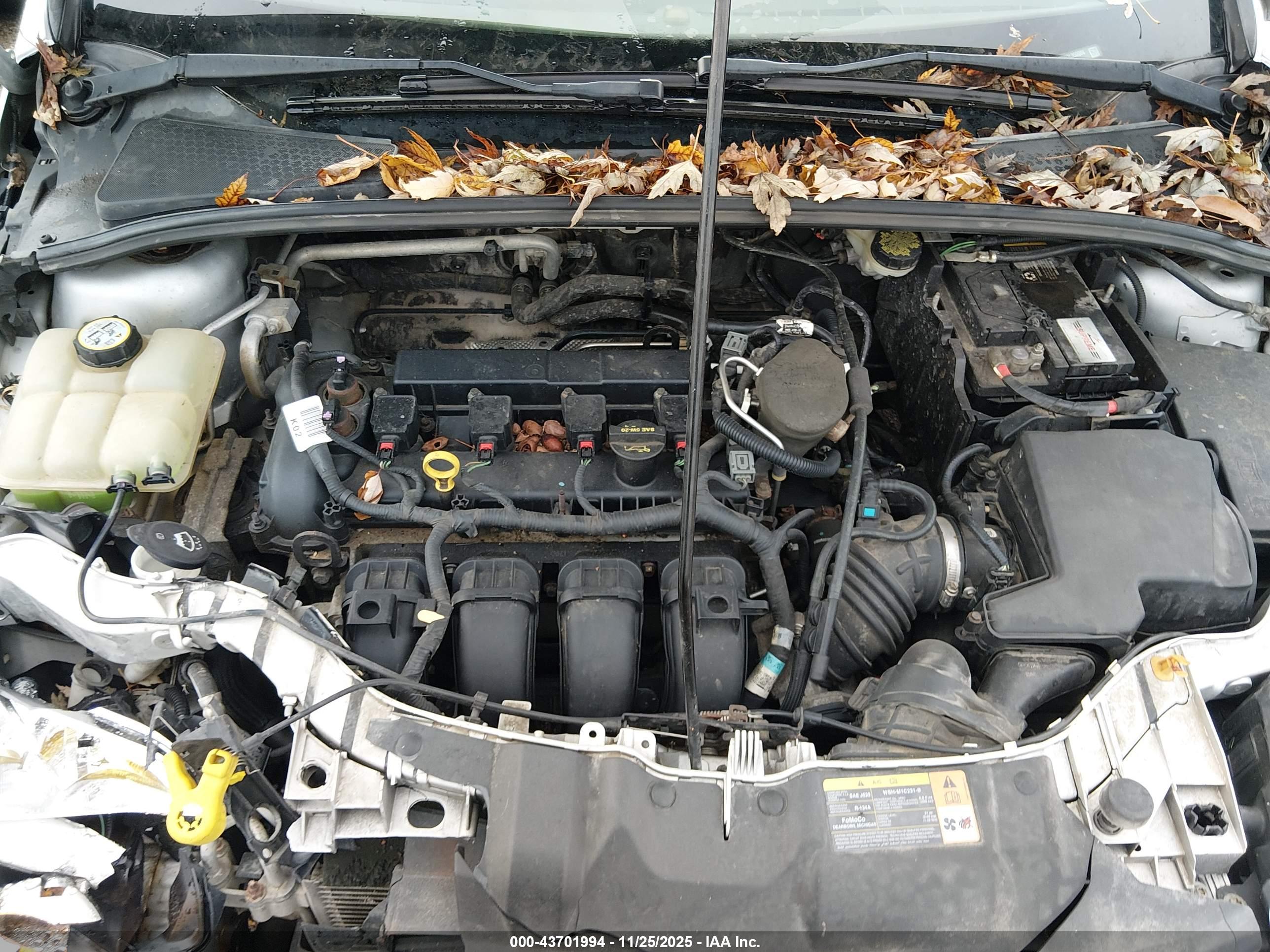 FORD FOCUS image 10