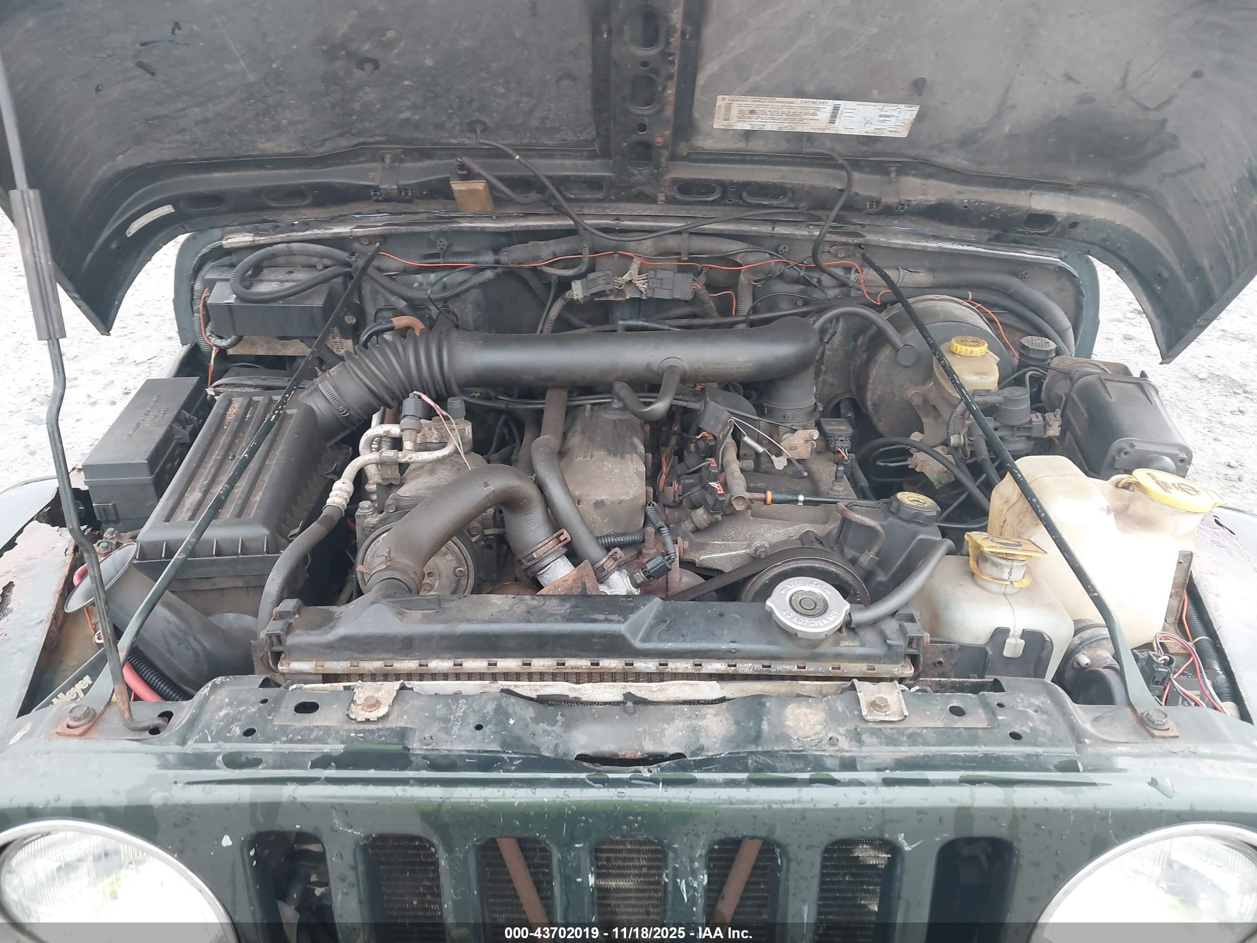 JEEP WRANGLER image 10