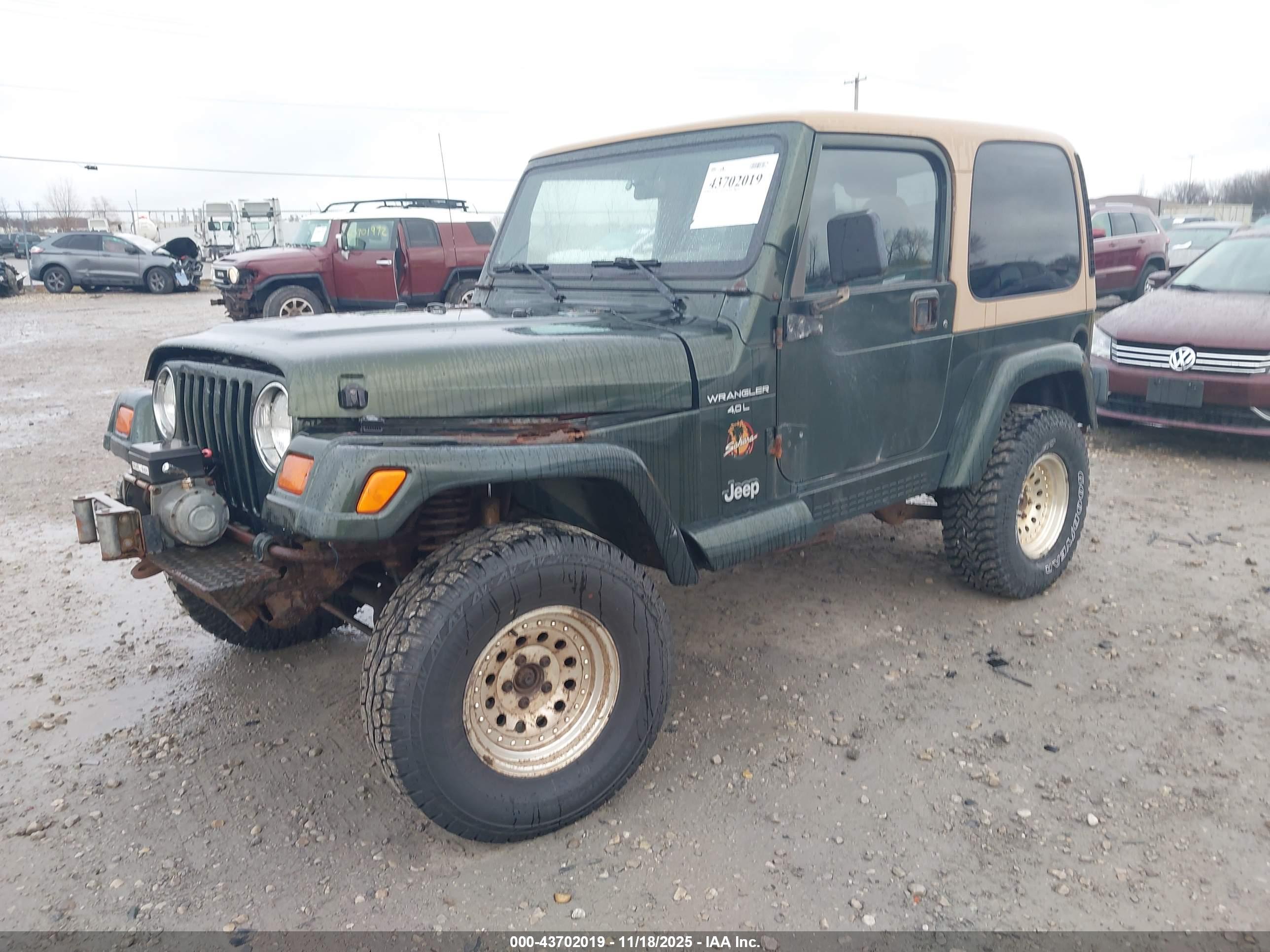 JEEP WRANGLER image 2