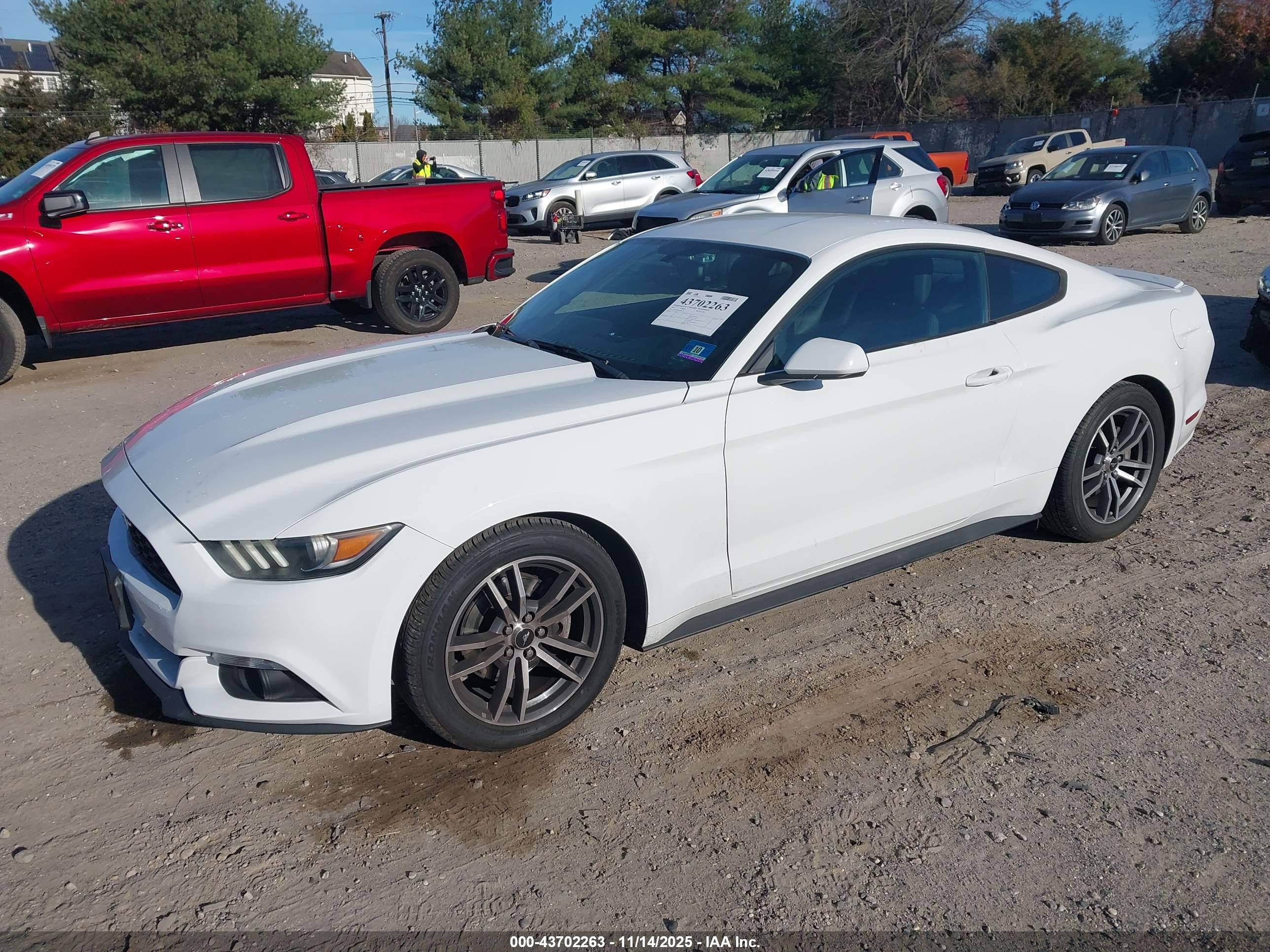 FORD MUSTANG image 2