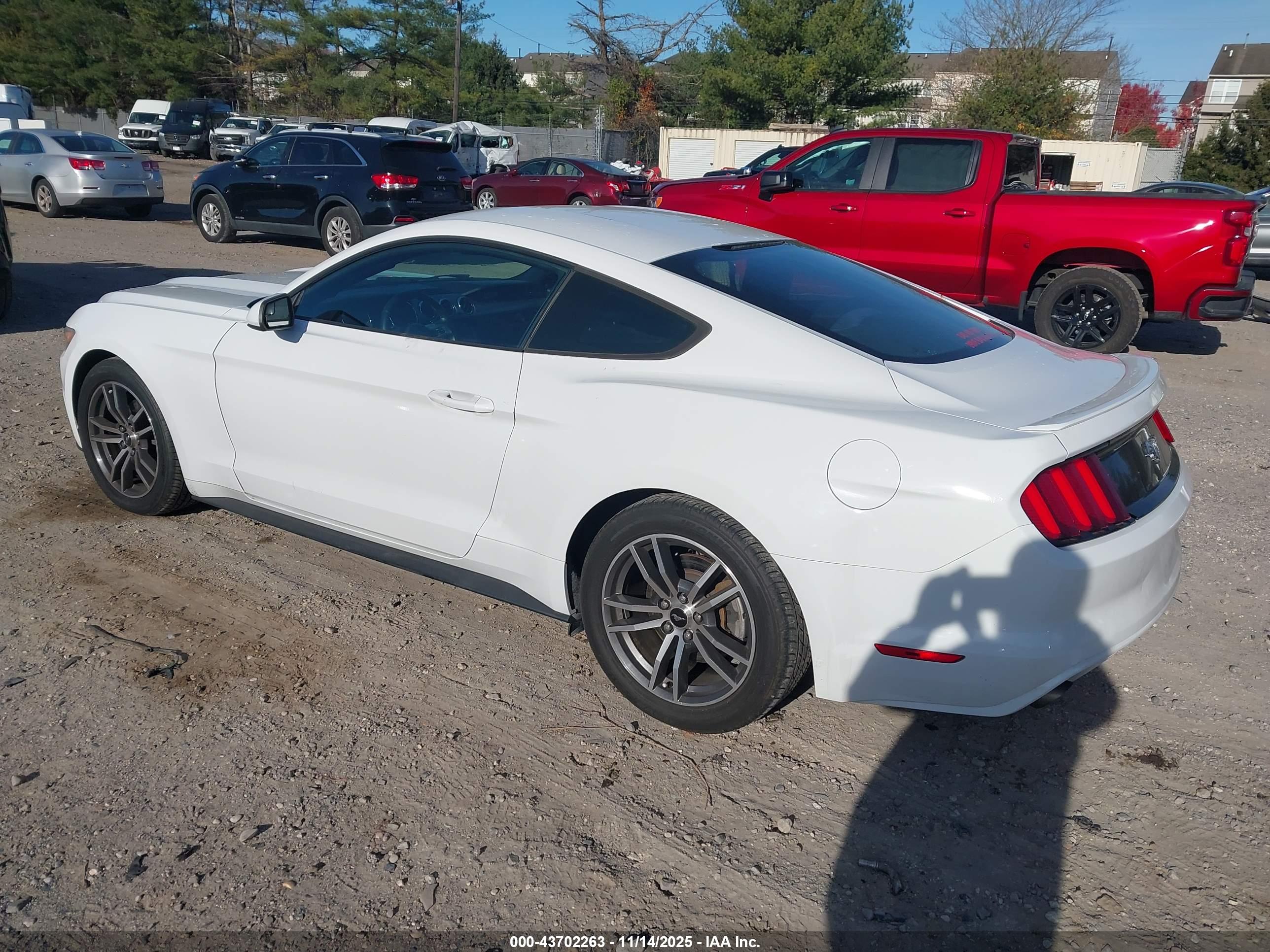 FORD MUSTANG image 3