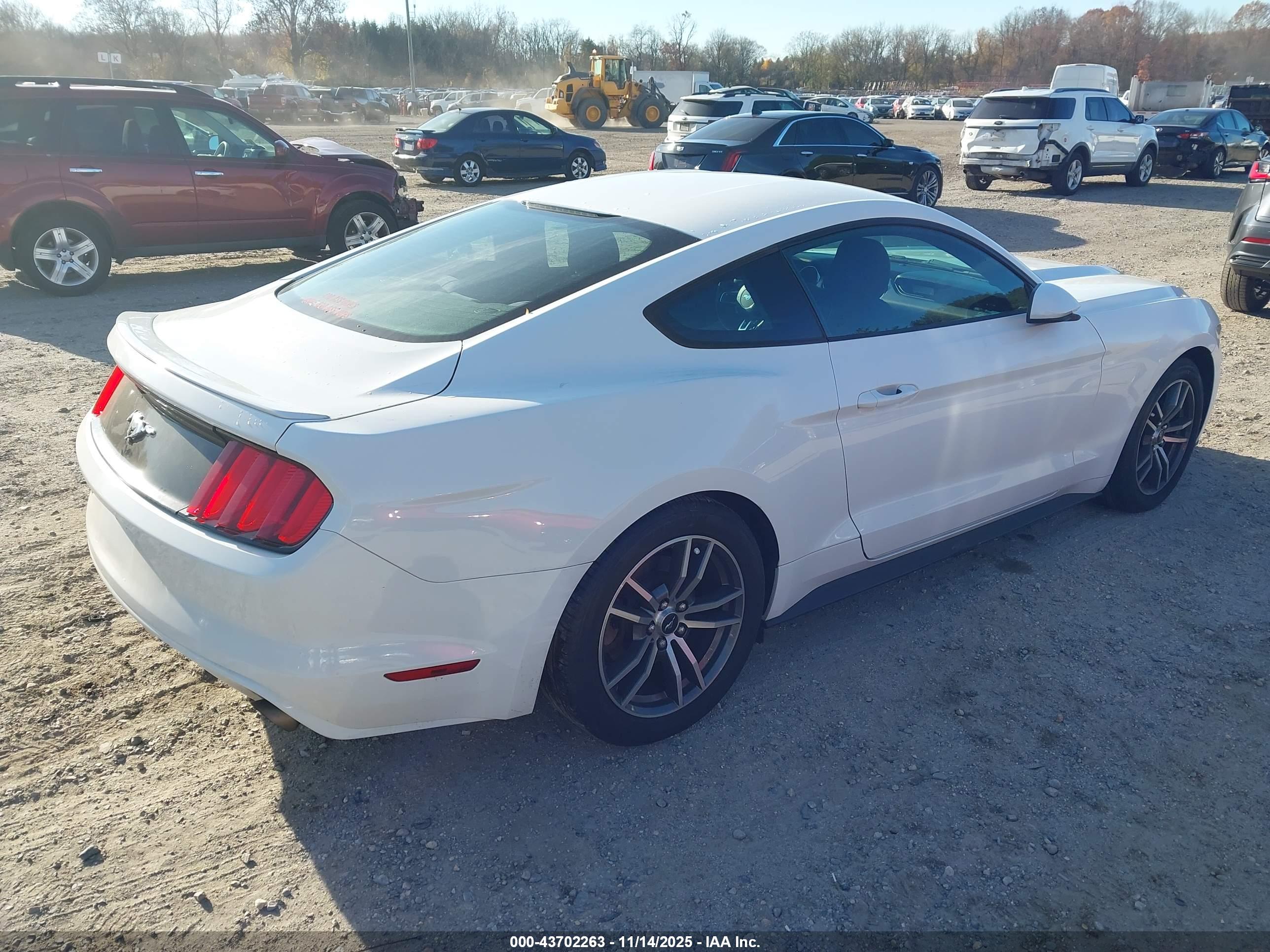 FORD MUSTANG image 4