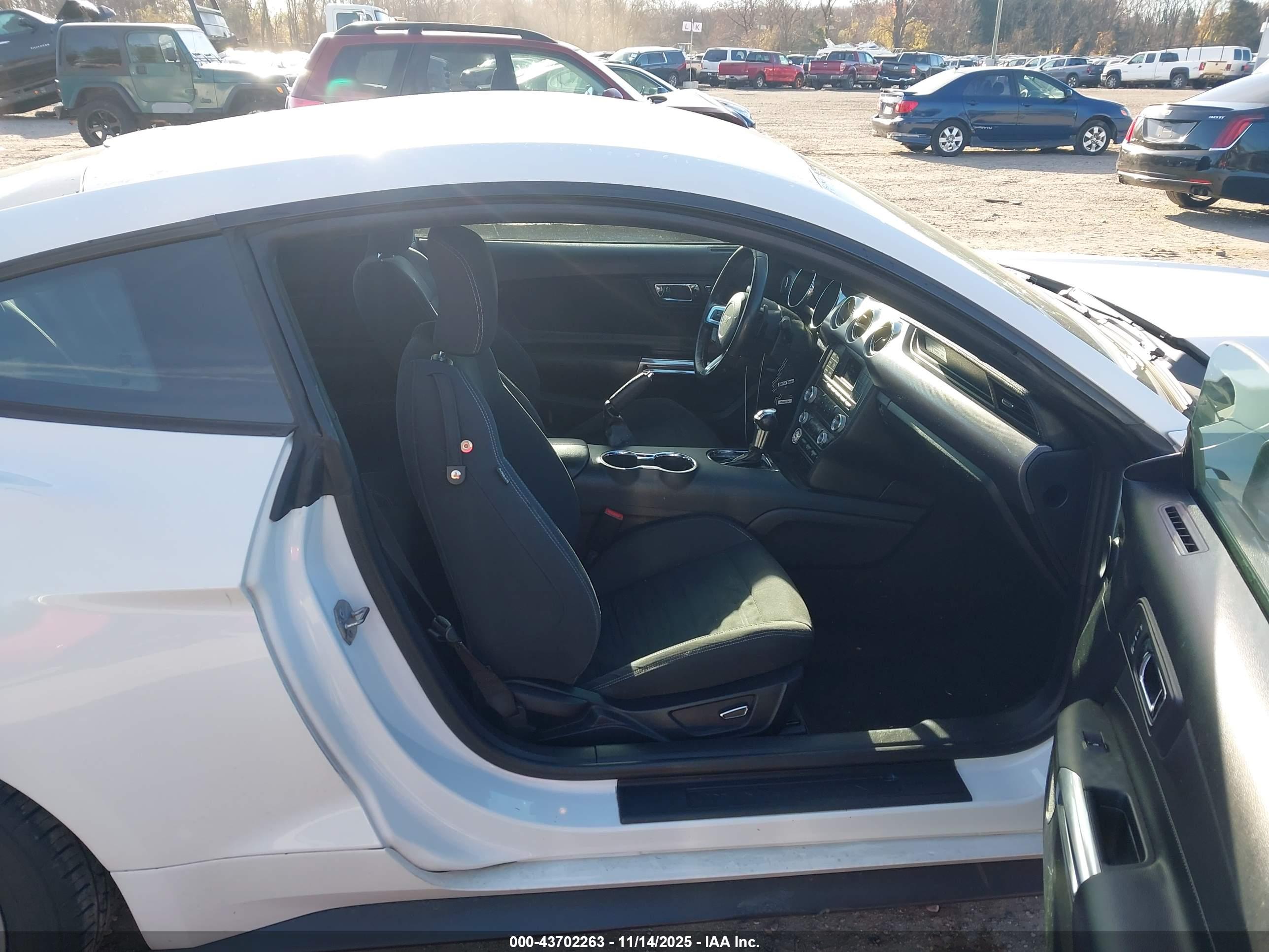 FORD MUSTANG image 5