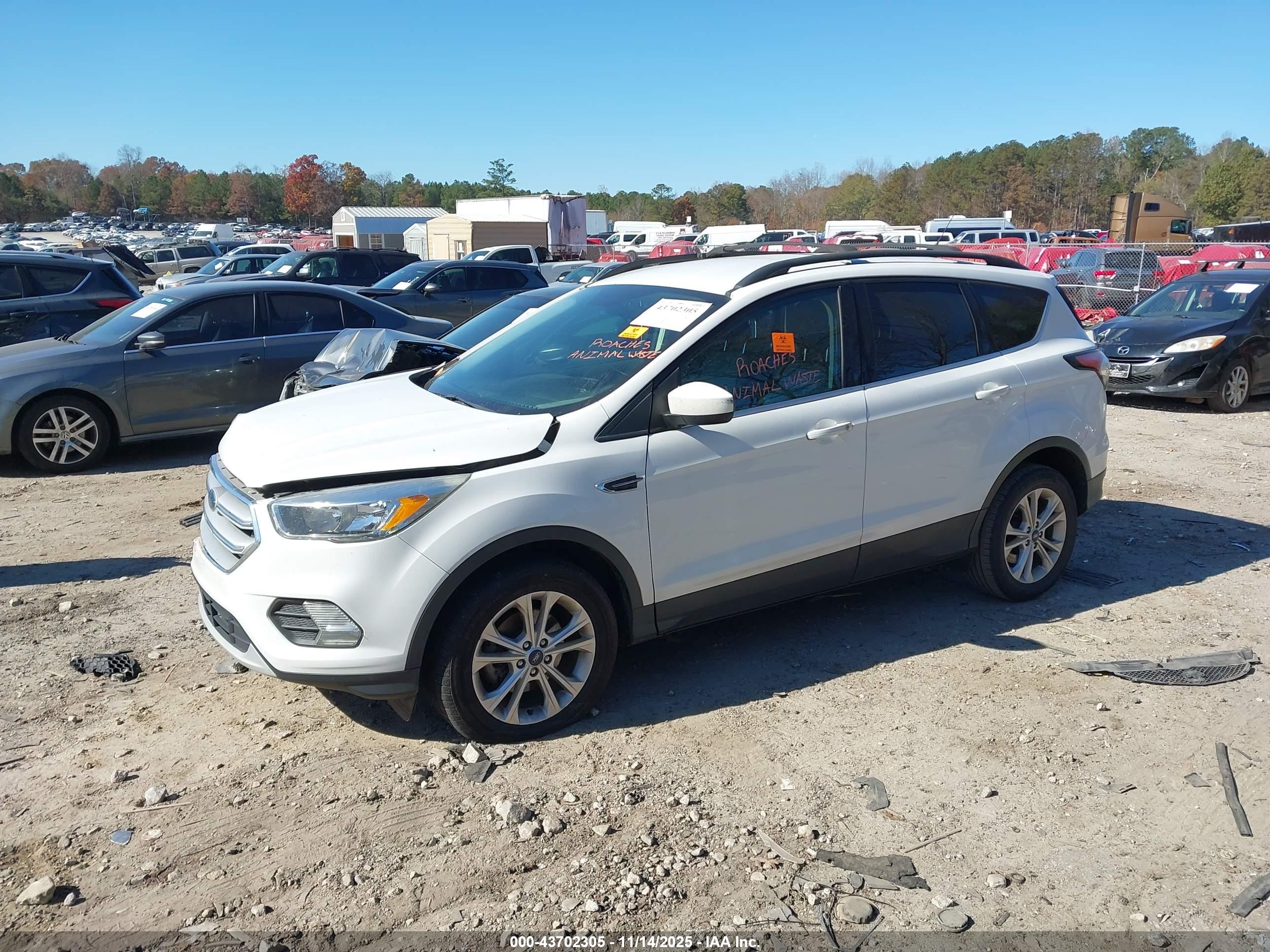 FORD ESCAPE image 2