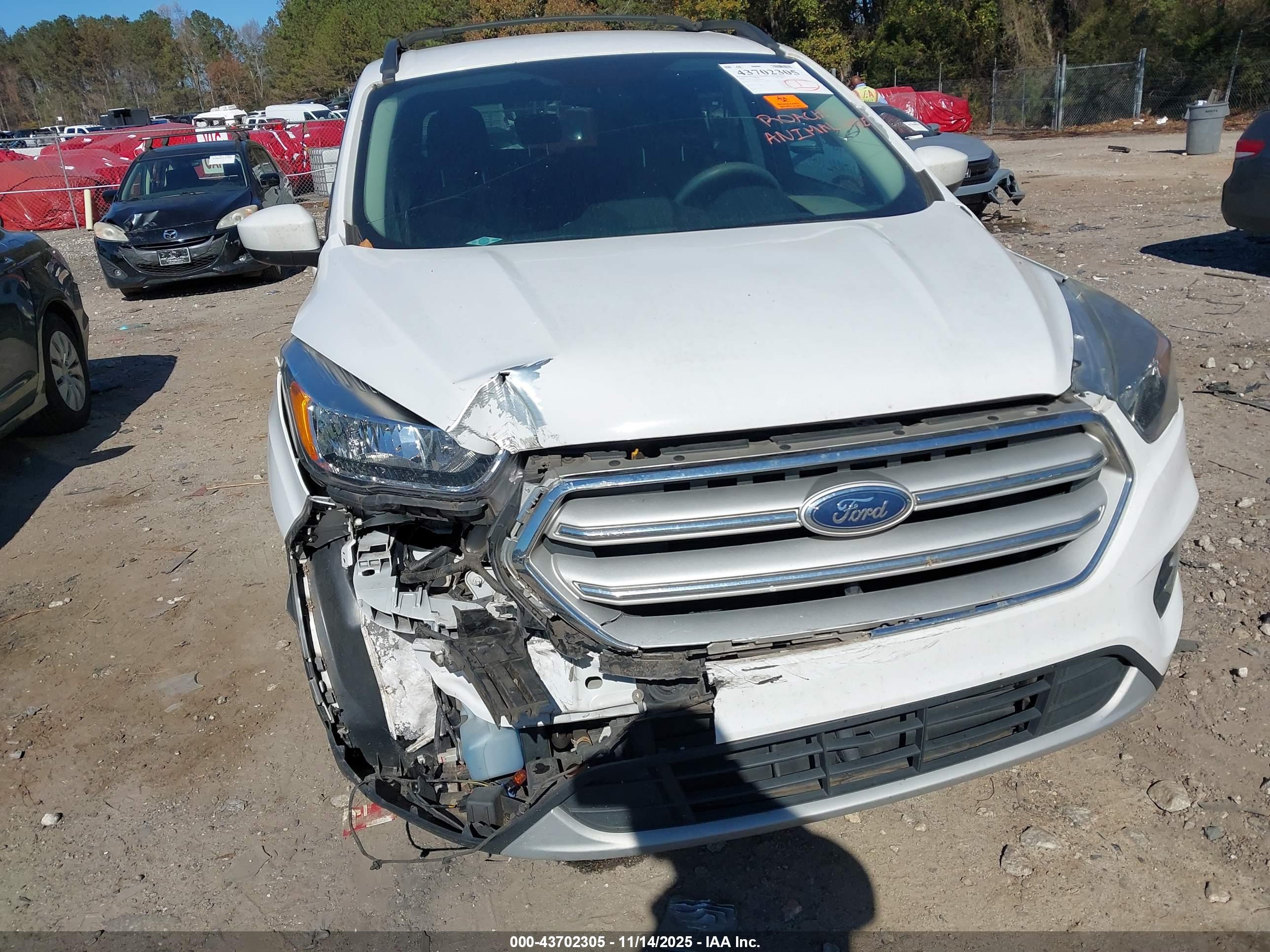 FORD ESCAPE image 6