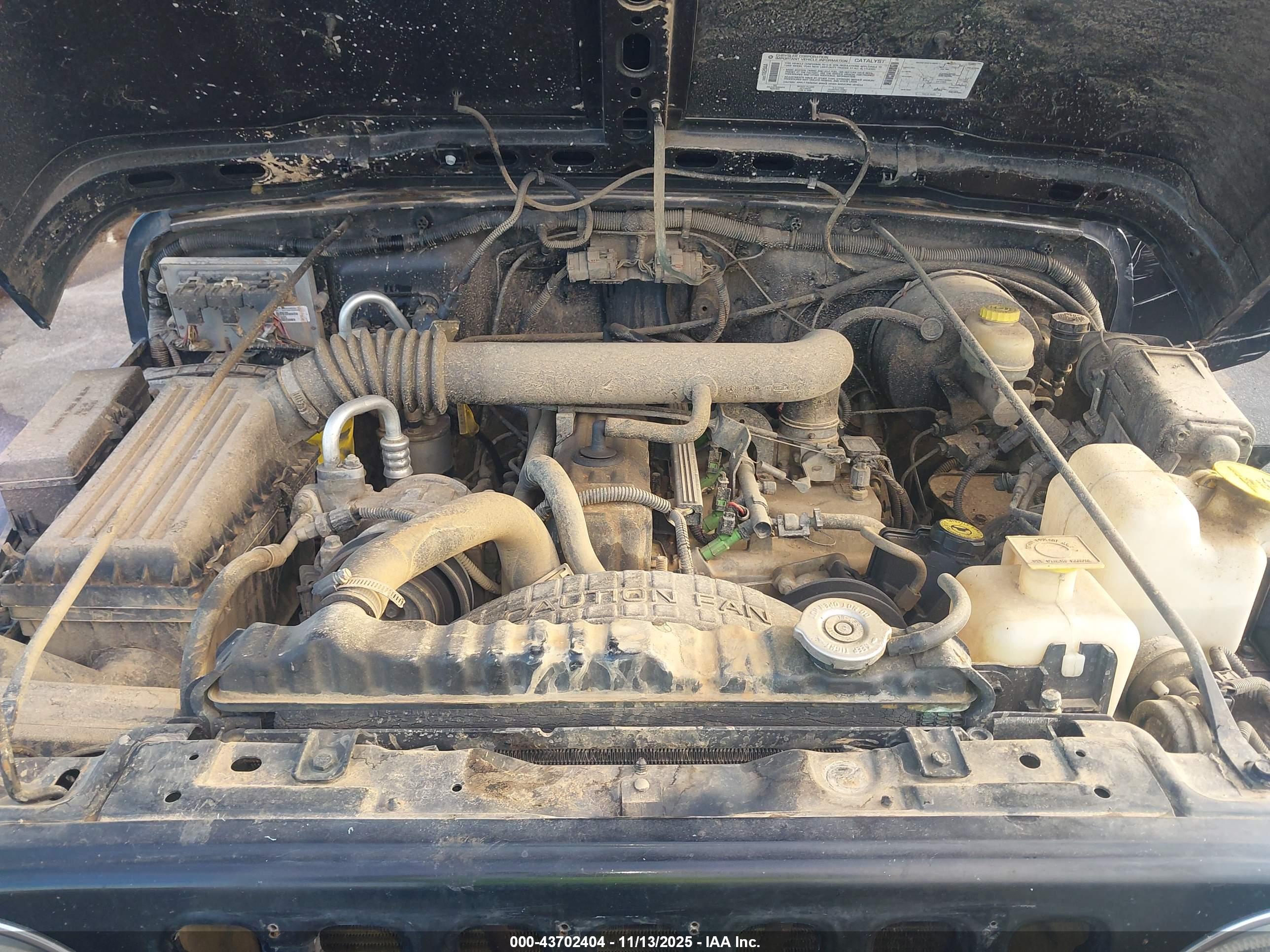 JEEP WRANGLER image 10