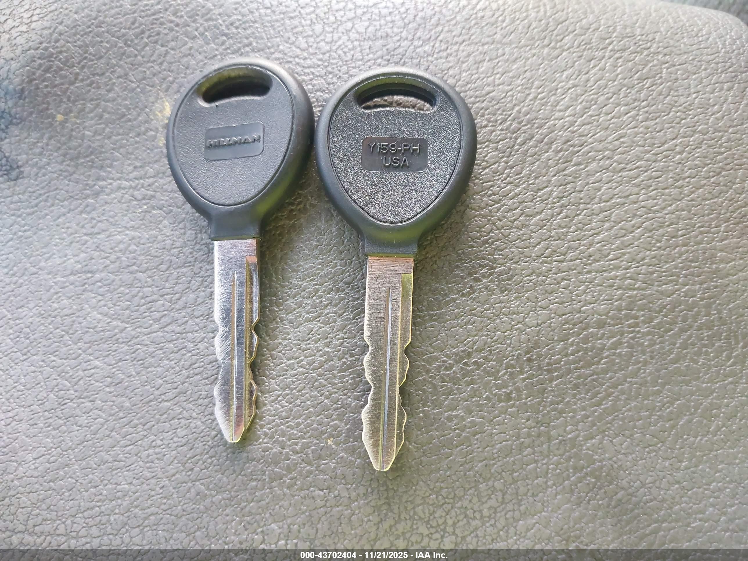 JEEP WRANGLER image 11