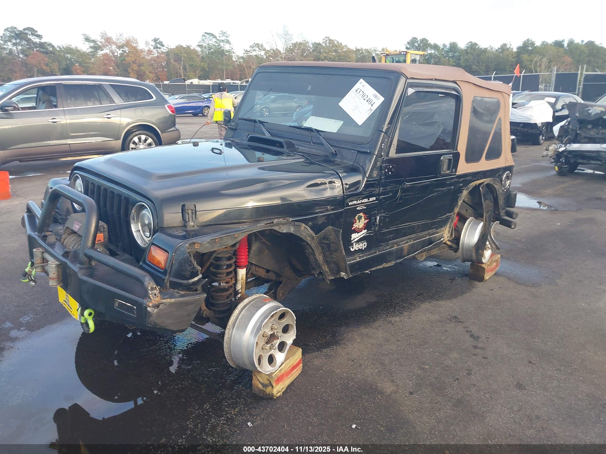 JEEP WRANGLER image 2