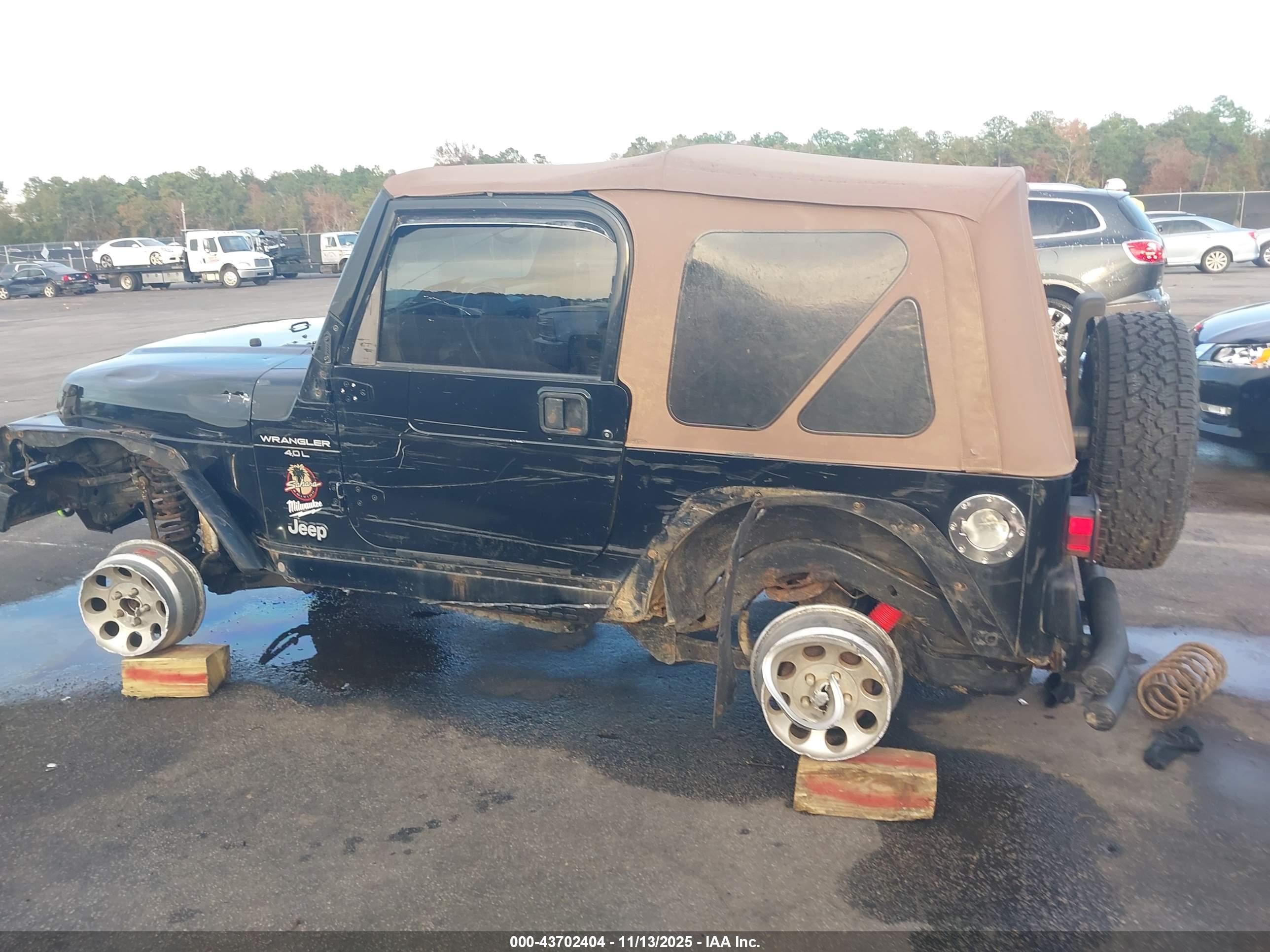 JEEP WRANGLER image 3