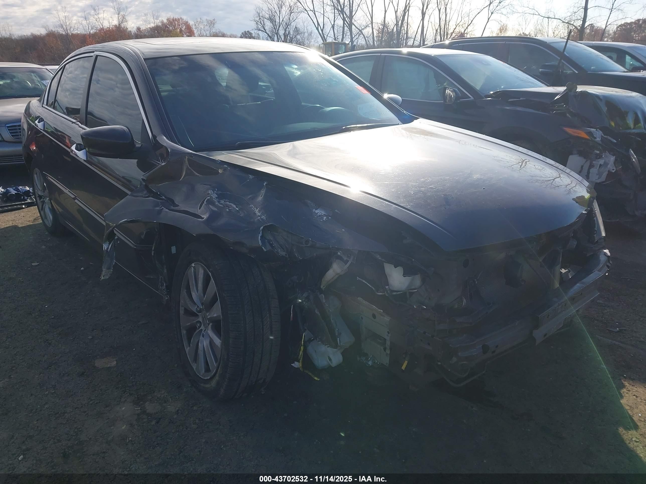 HONDA ACCORD image 6