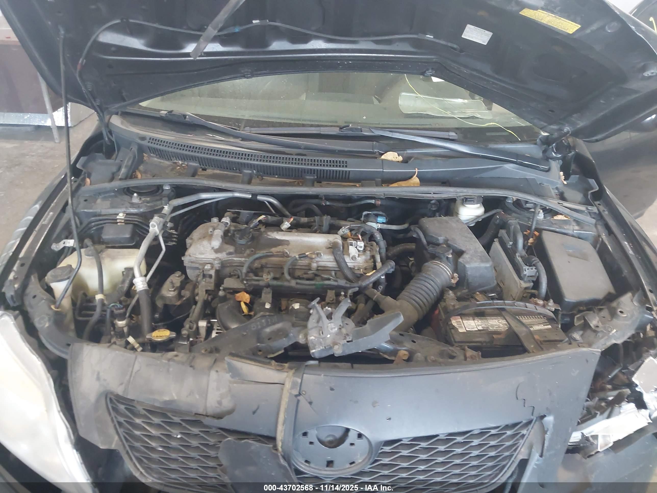 TOYOTA COROLLA image 10