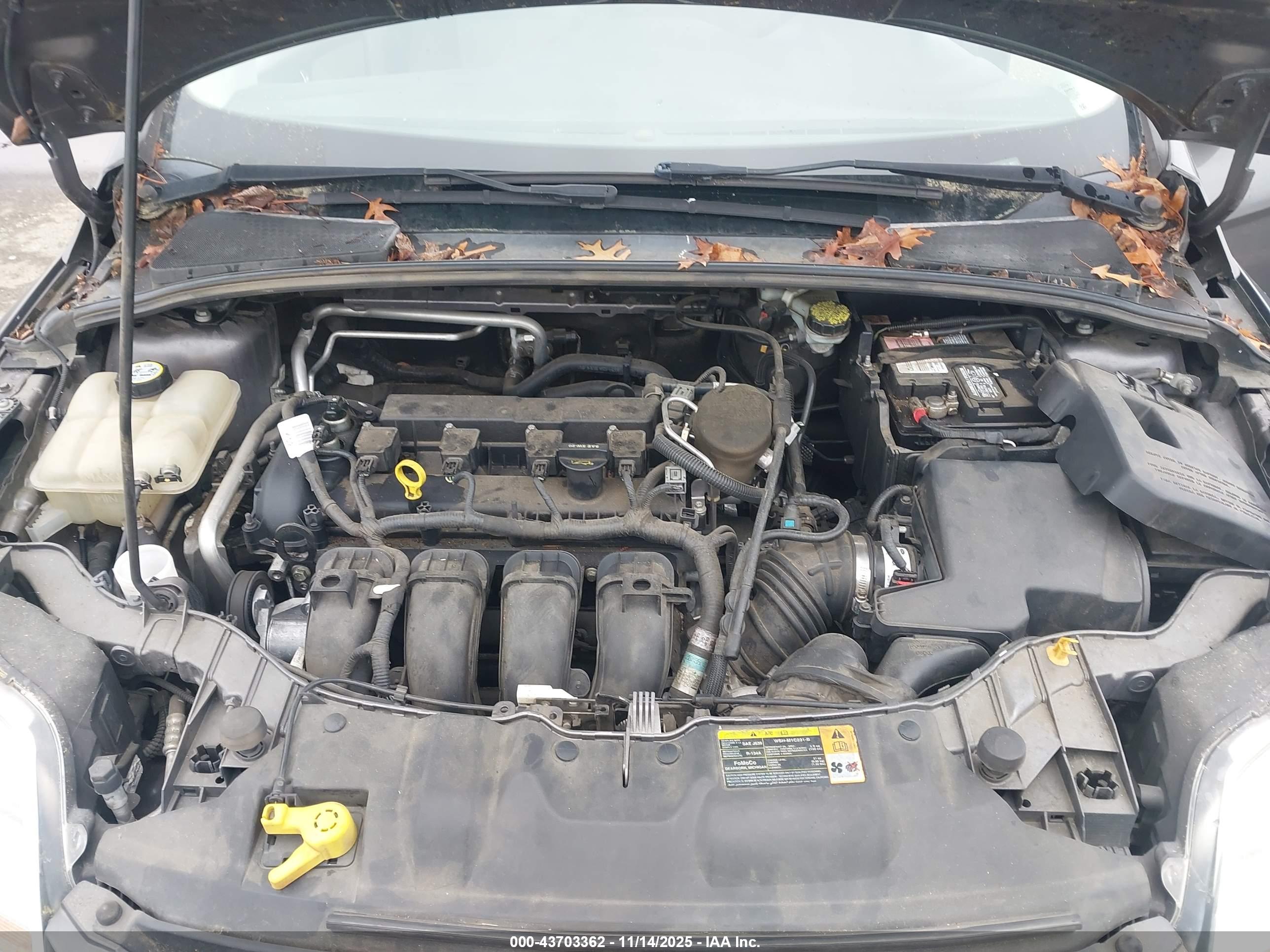 FORD FOCUS image 10