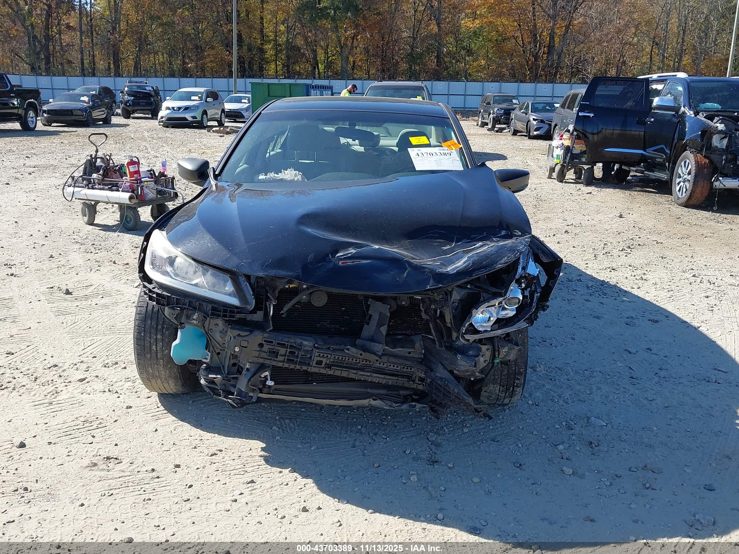 HONDA ACCORD image 6