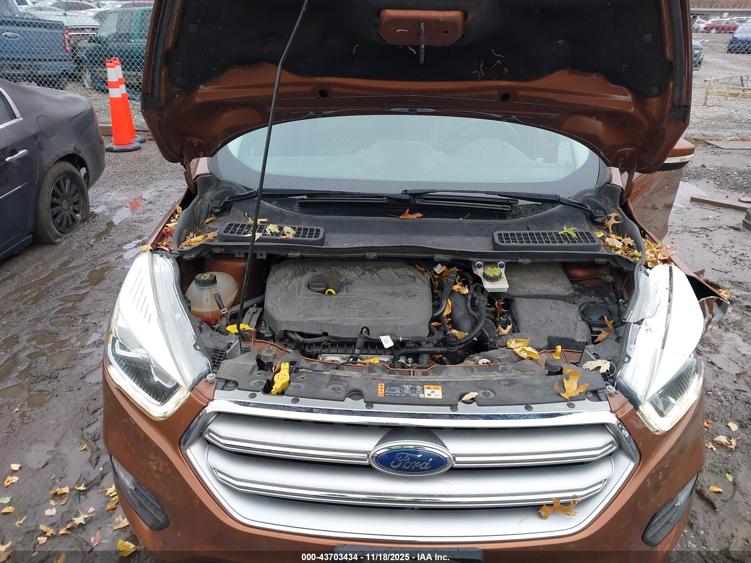 FORD ESCAPE image 10