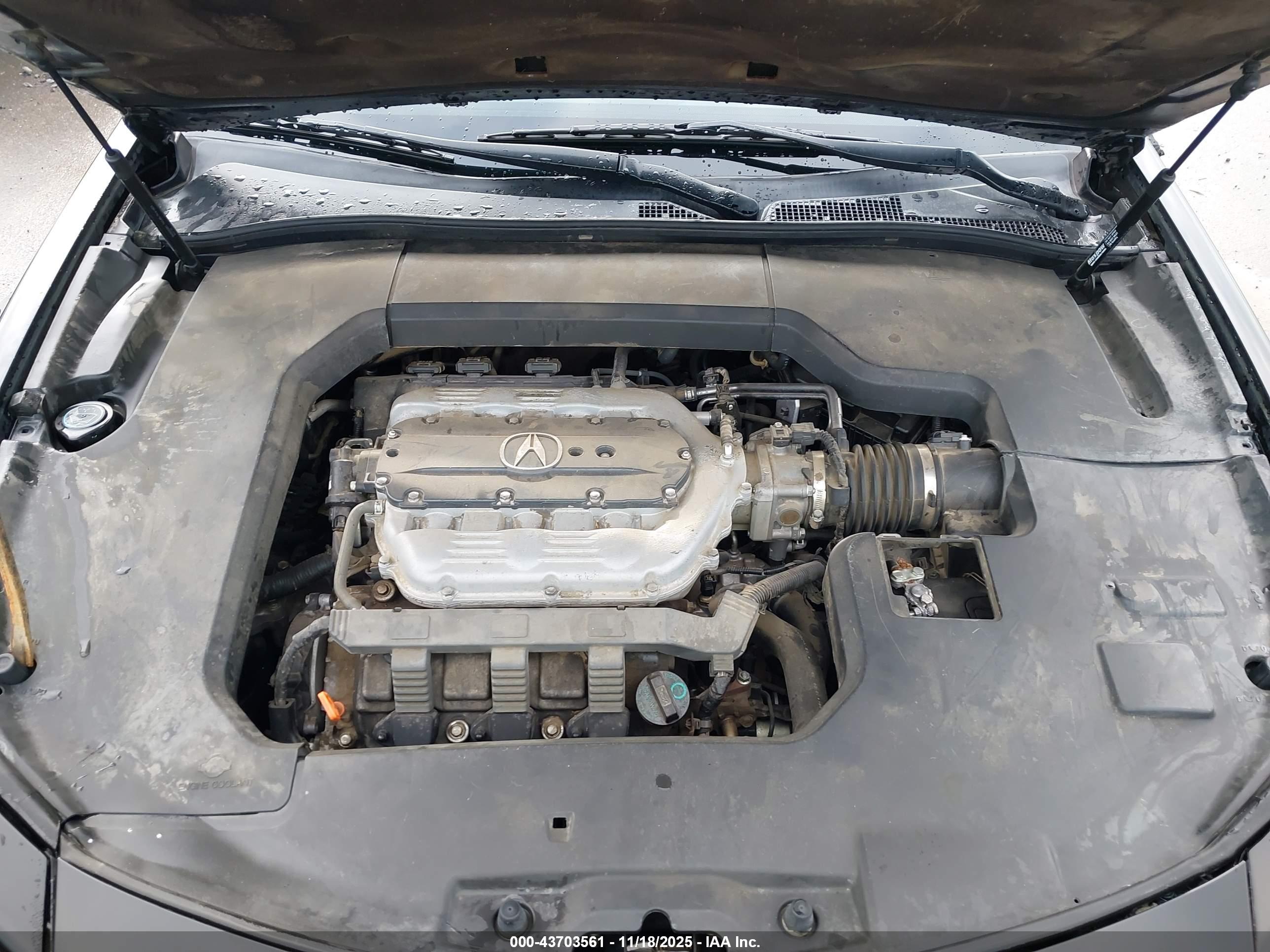 ACURA TL image 10
