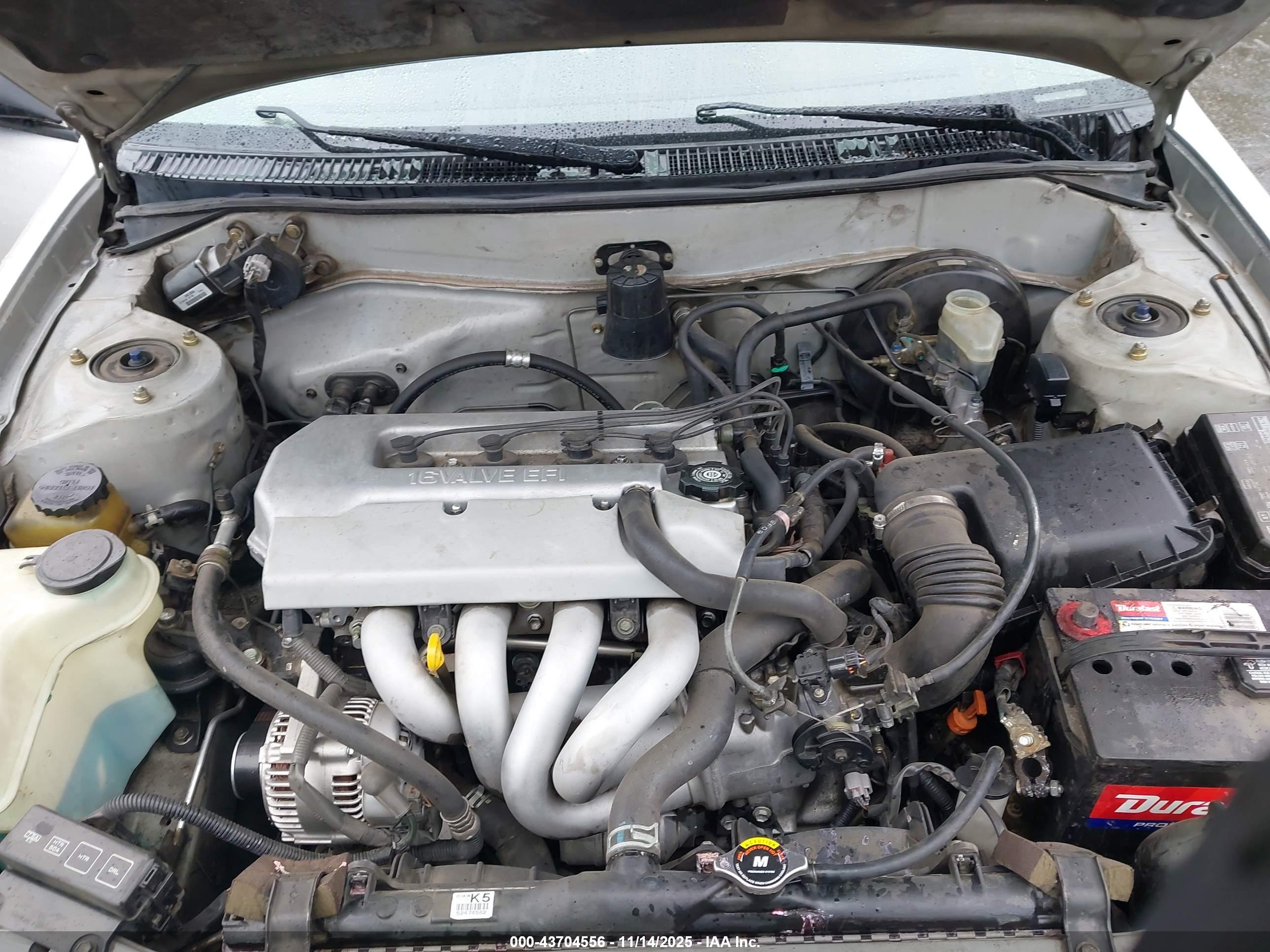 TOYOTA COROLLA image 10