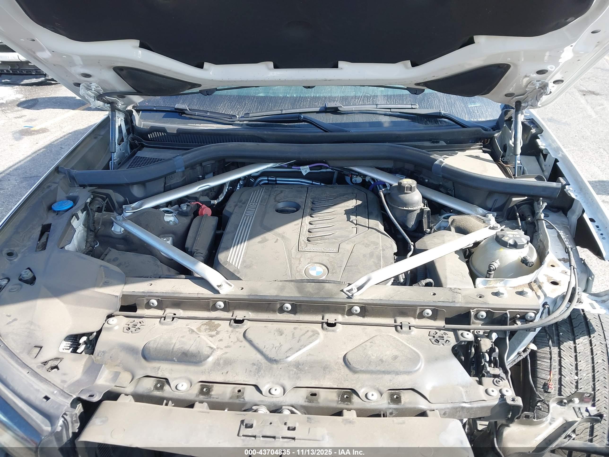 BMW X7 image 10