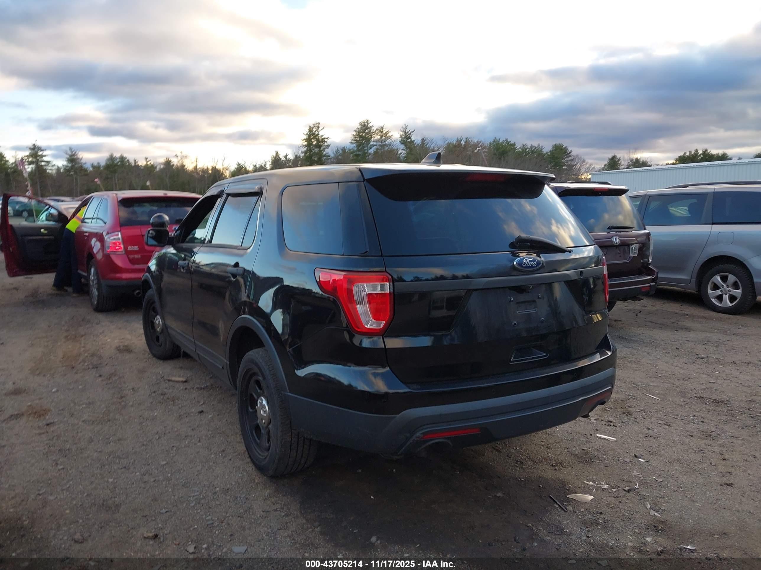 FORD UTILITY image 3