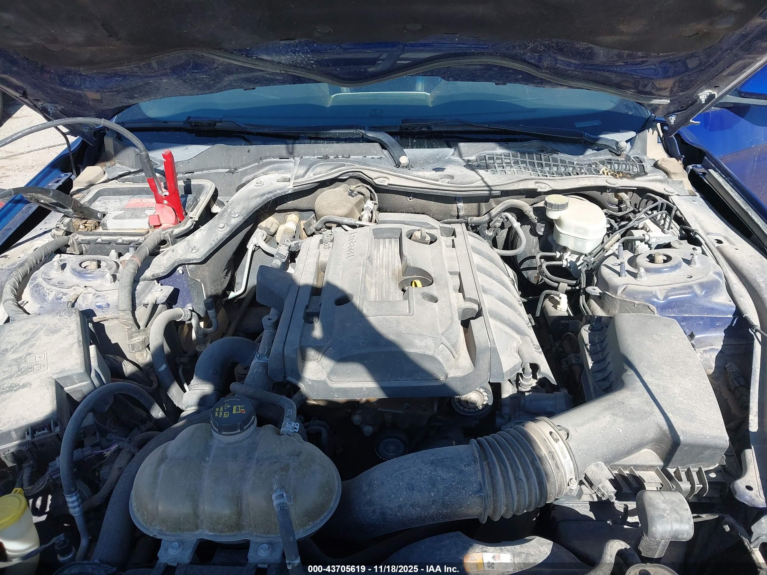 FORD MUSTANG image 10